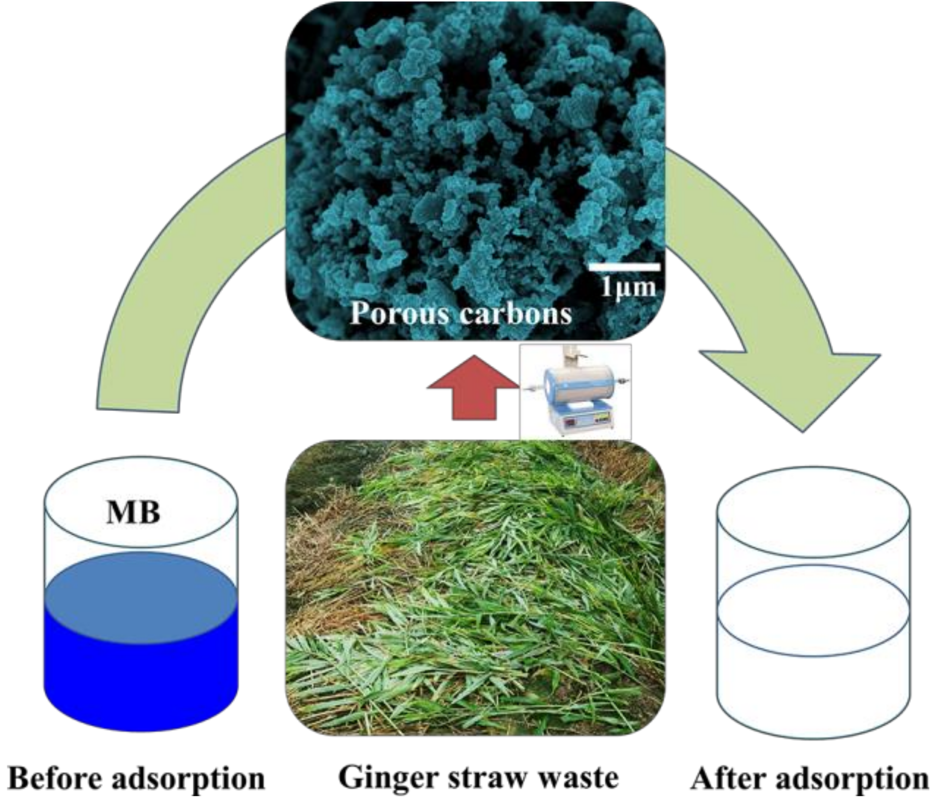 Molecules 24 00469 g001