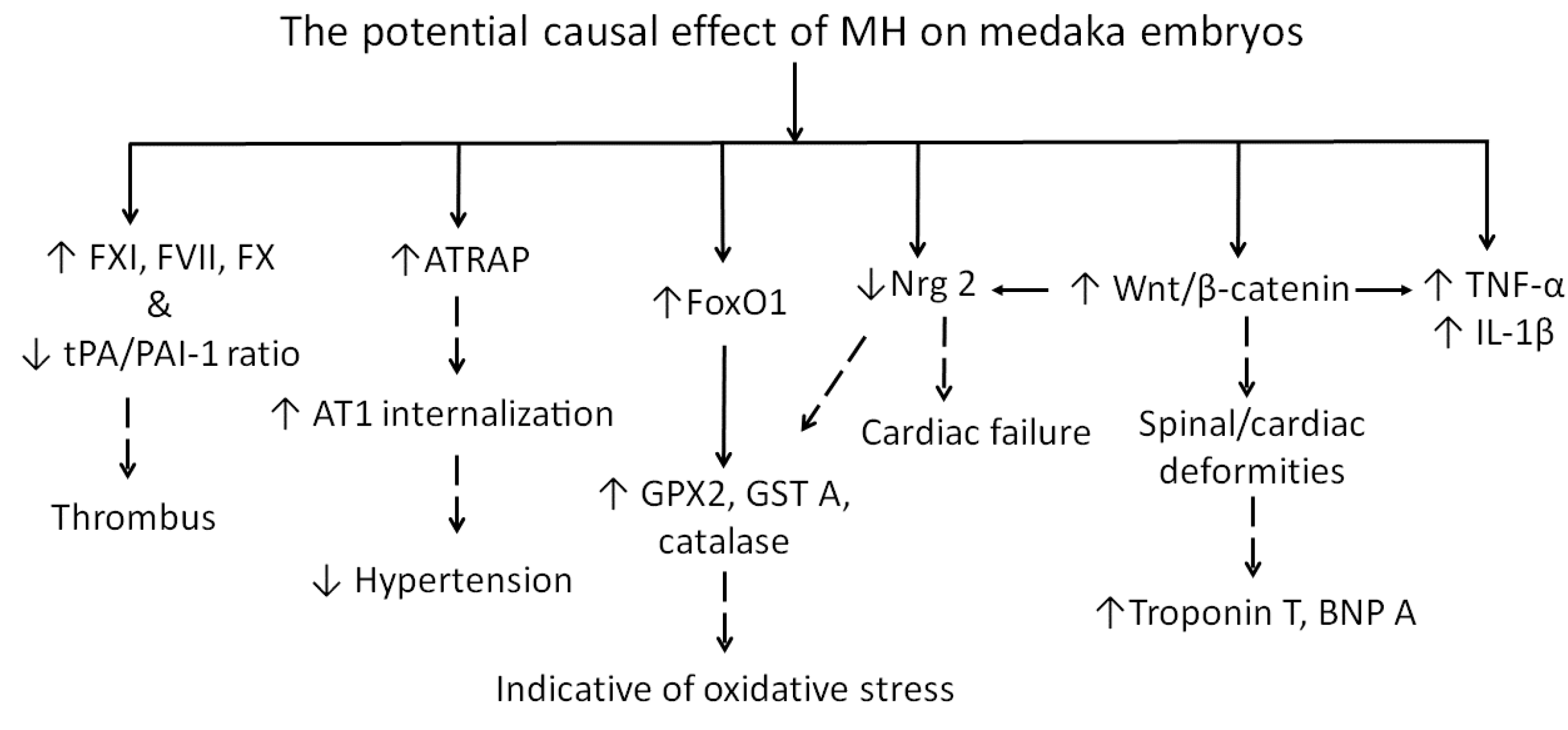 Molecules 24 00475 g011