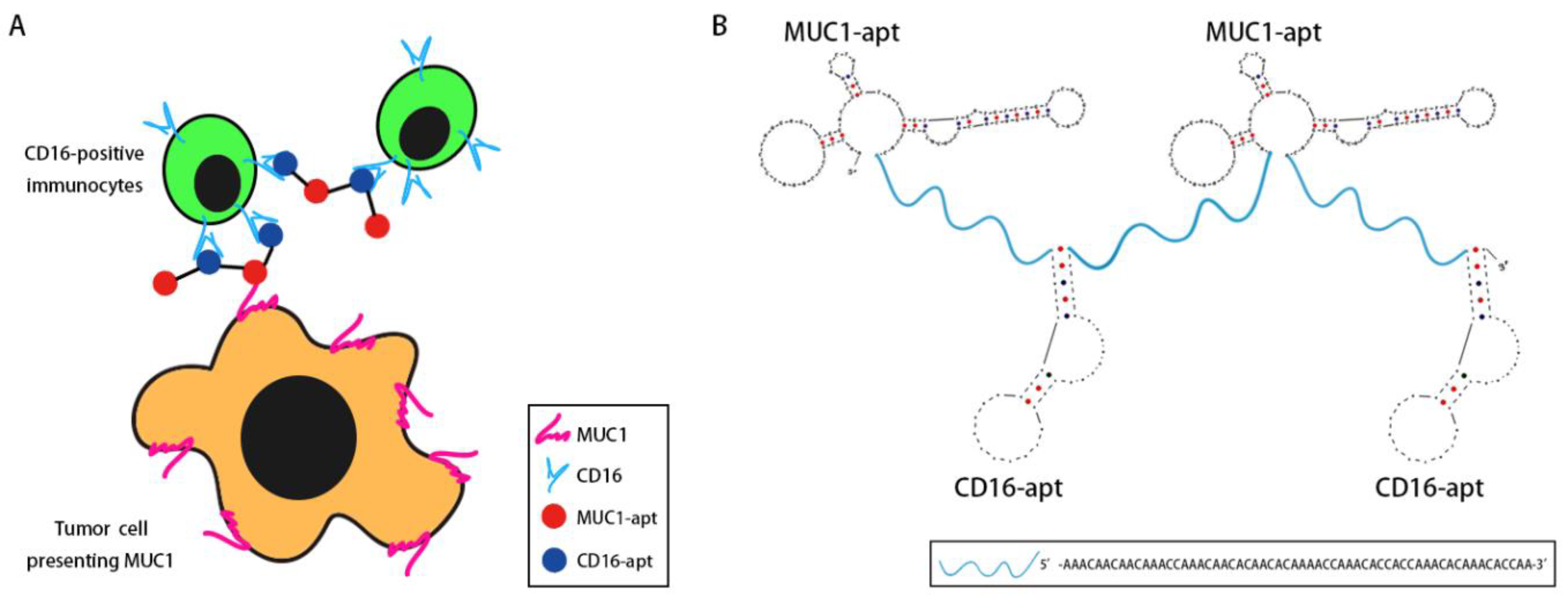 Molecules 24 00478 g001