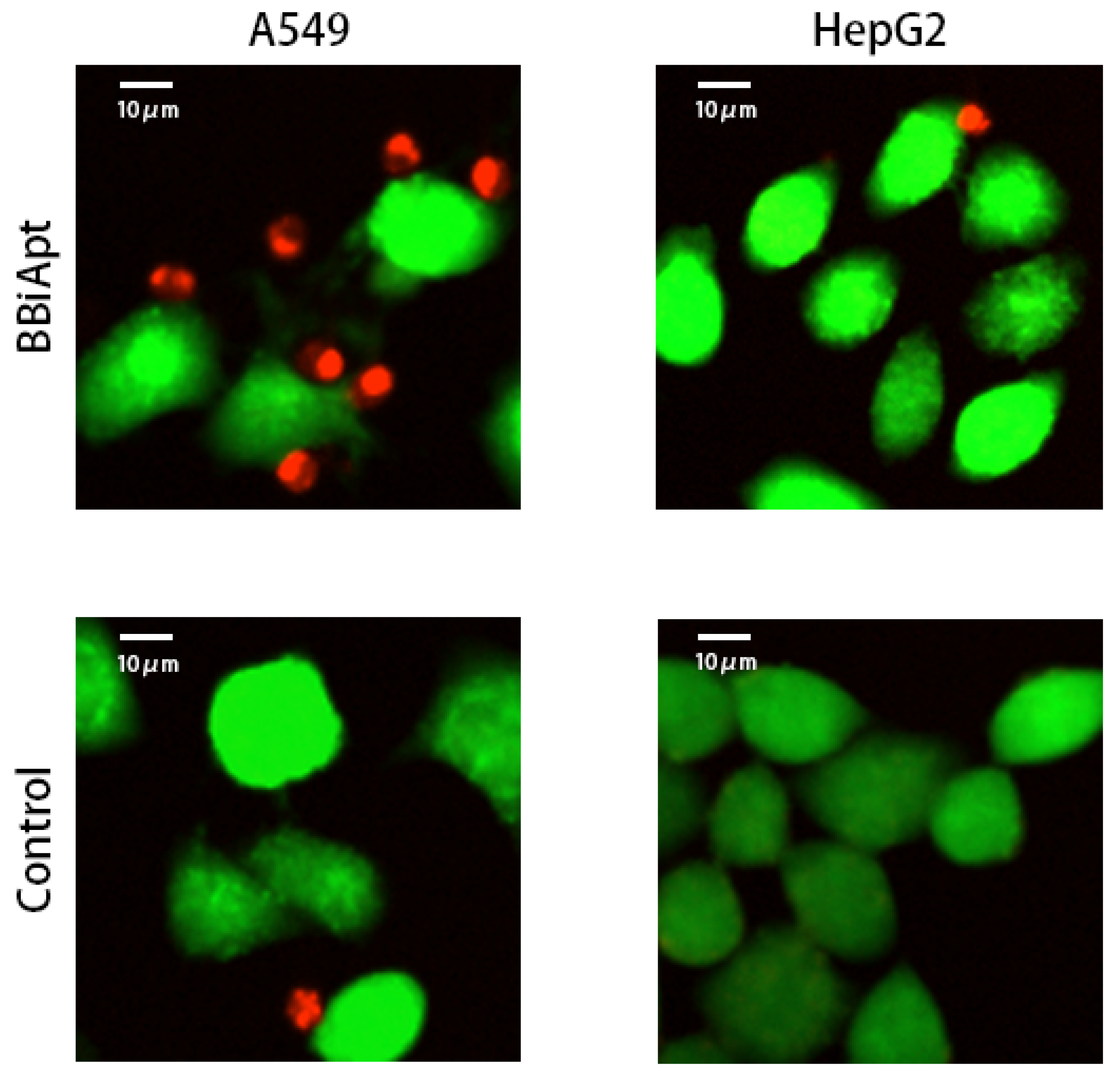 Molecules 24 00478 g006