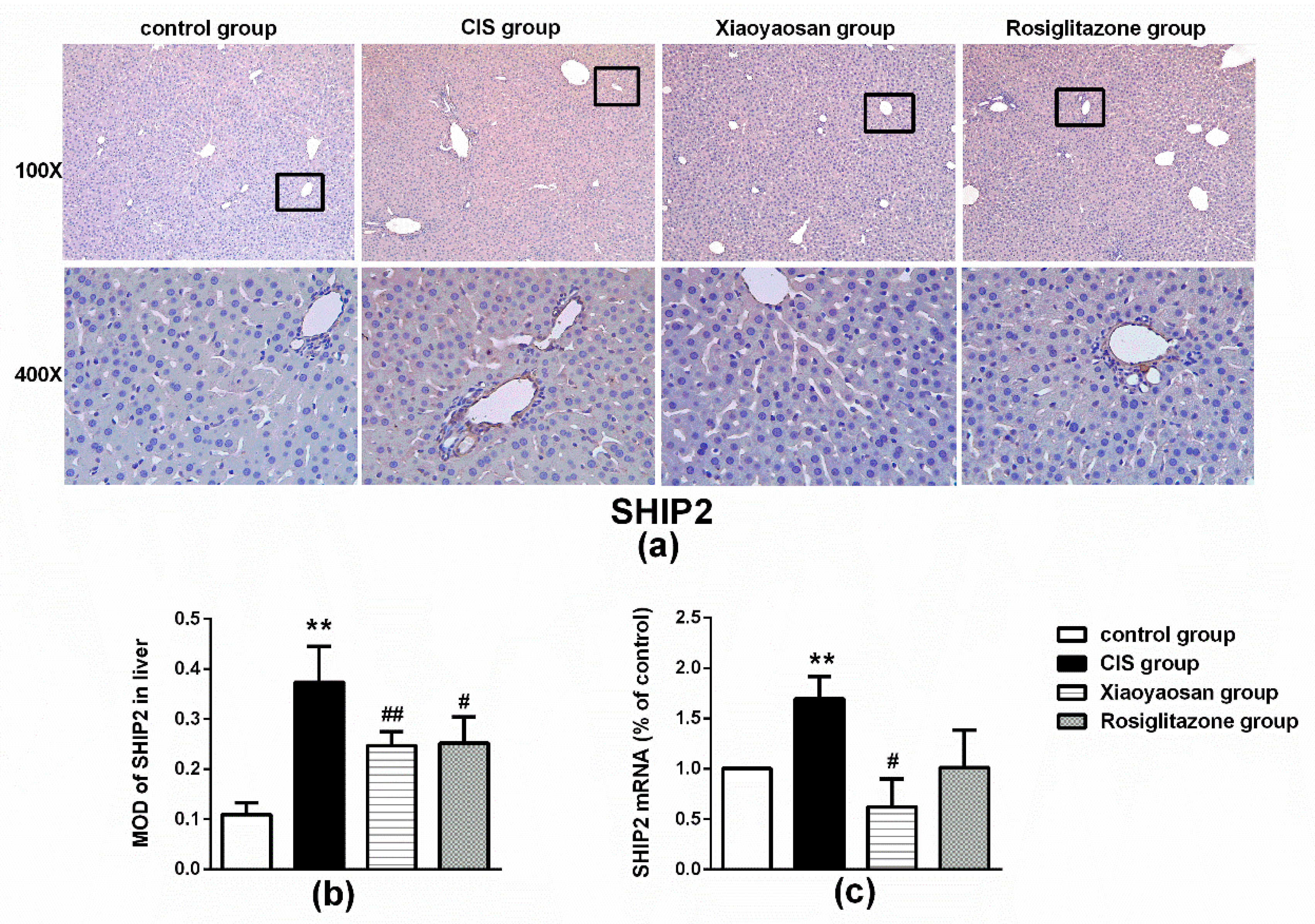 Molecules 24 00480 g005 Molecules 24 00480 g005