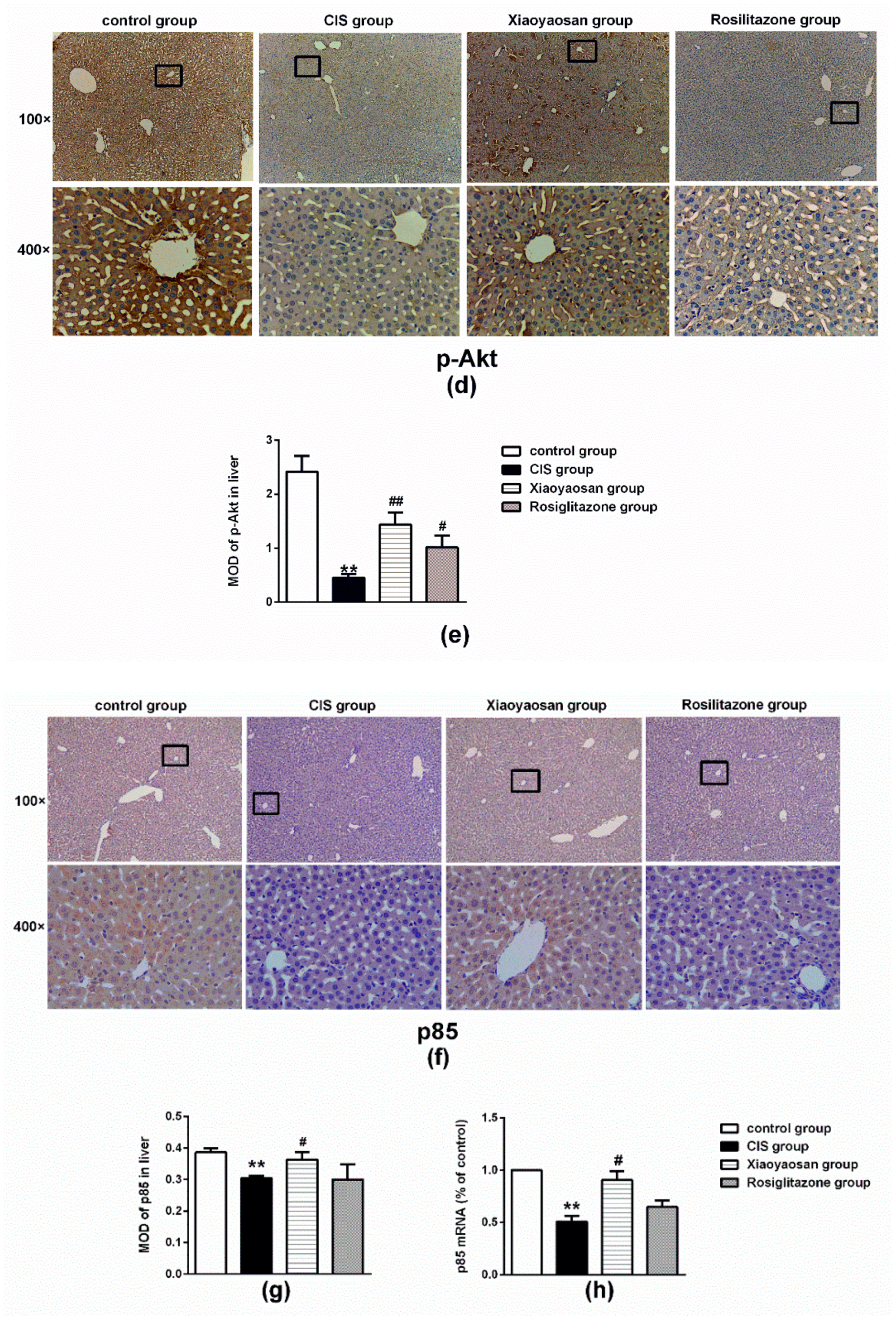 Molecules 24 00480 g006b Molecules 24 00480 g006b