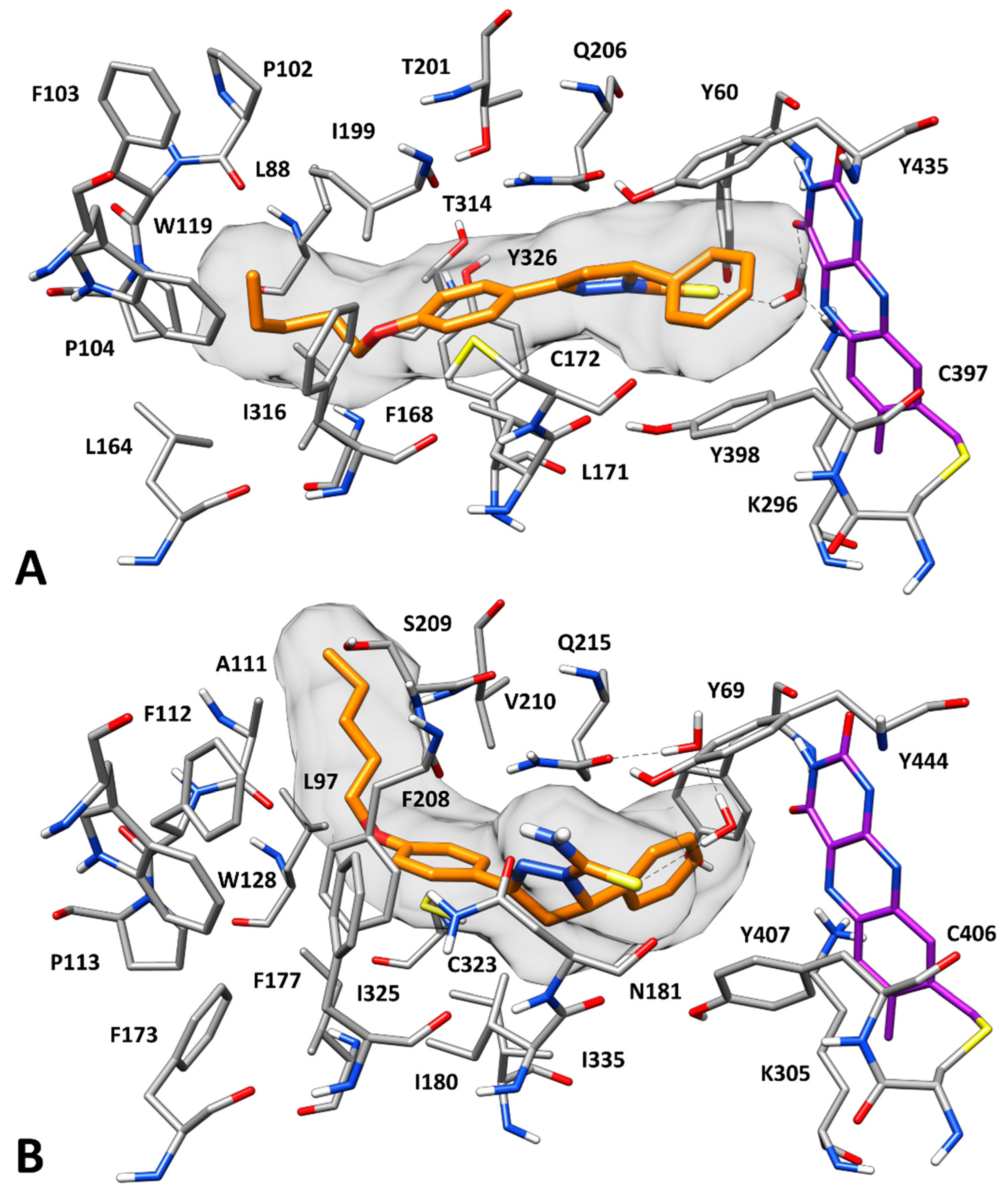Molecules 24 00484 g003 Molecules 24 00484 g003