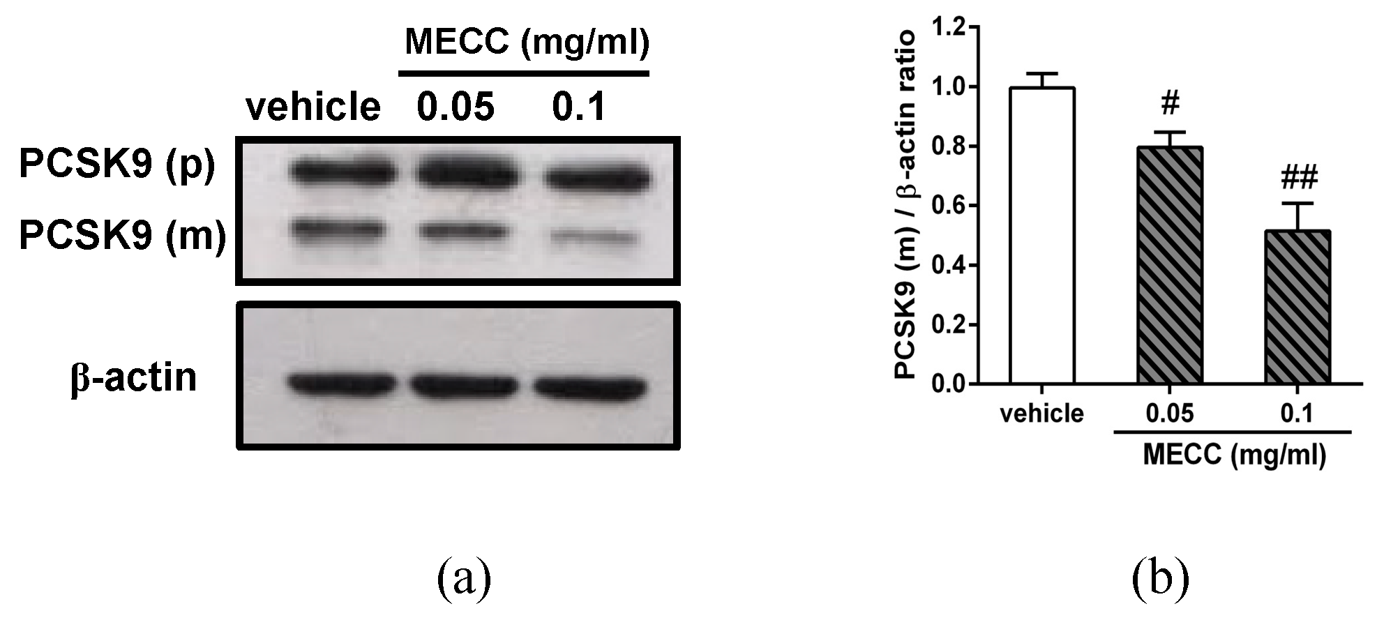 Molecules 24 00493 g005 Molecules 24 00493 g005