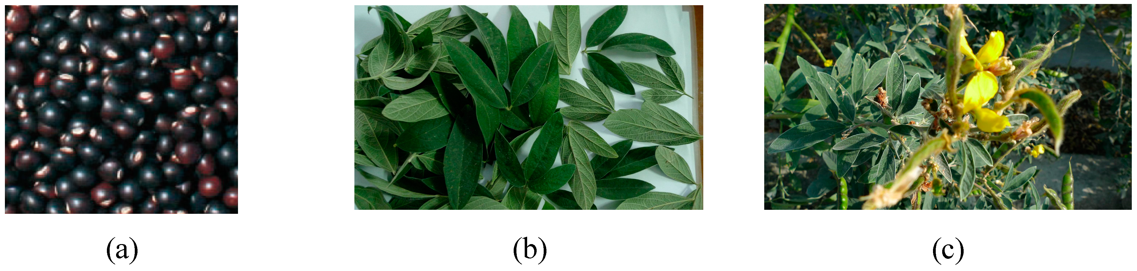 Molecules 24 00493 g008 Molecules 24 00493 g008