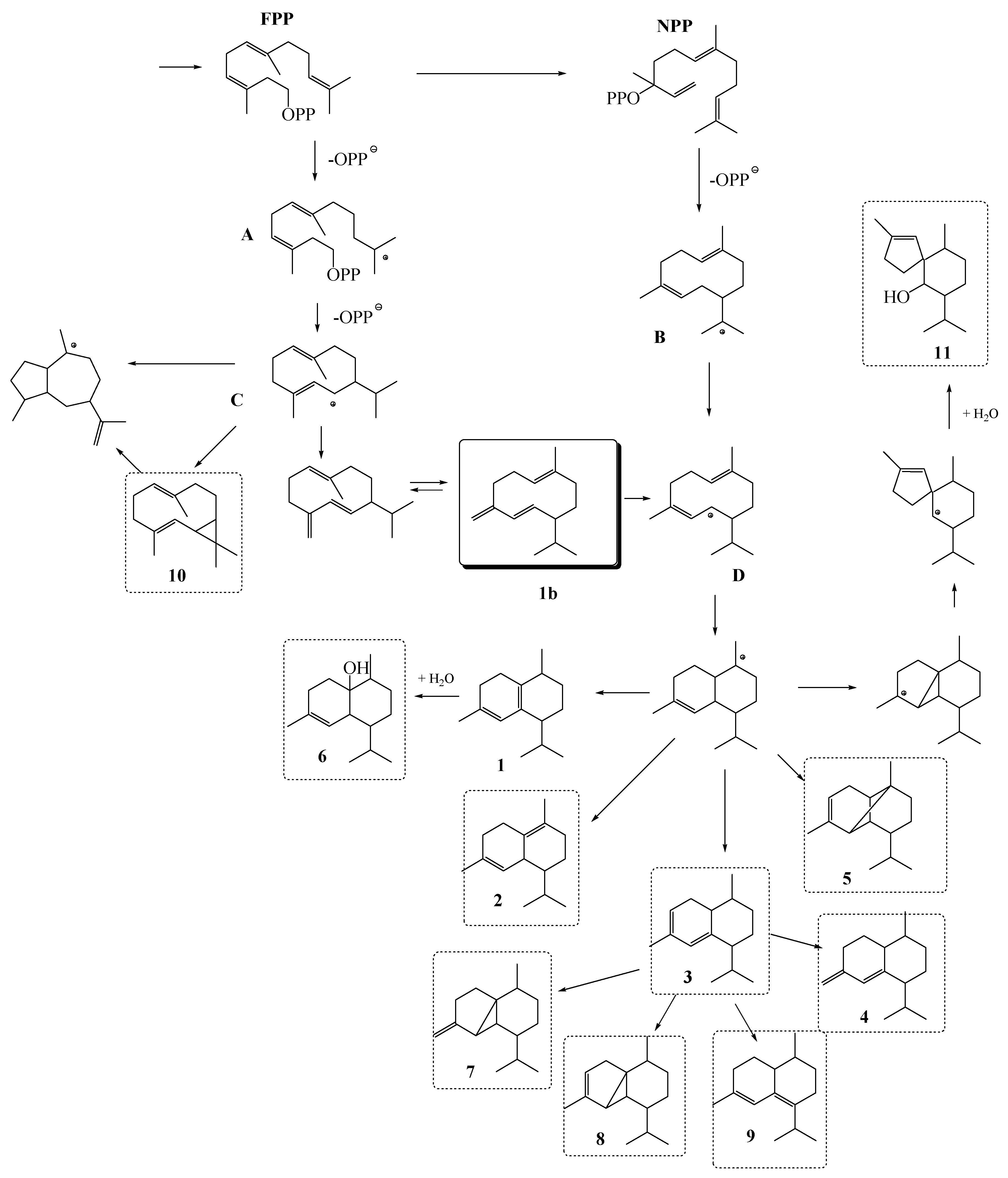 Molecules 24 00495 g001 Molecules 24 00495 g001