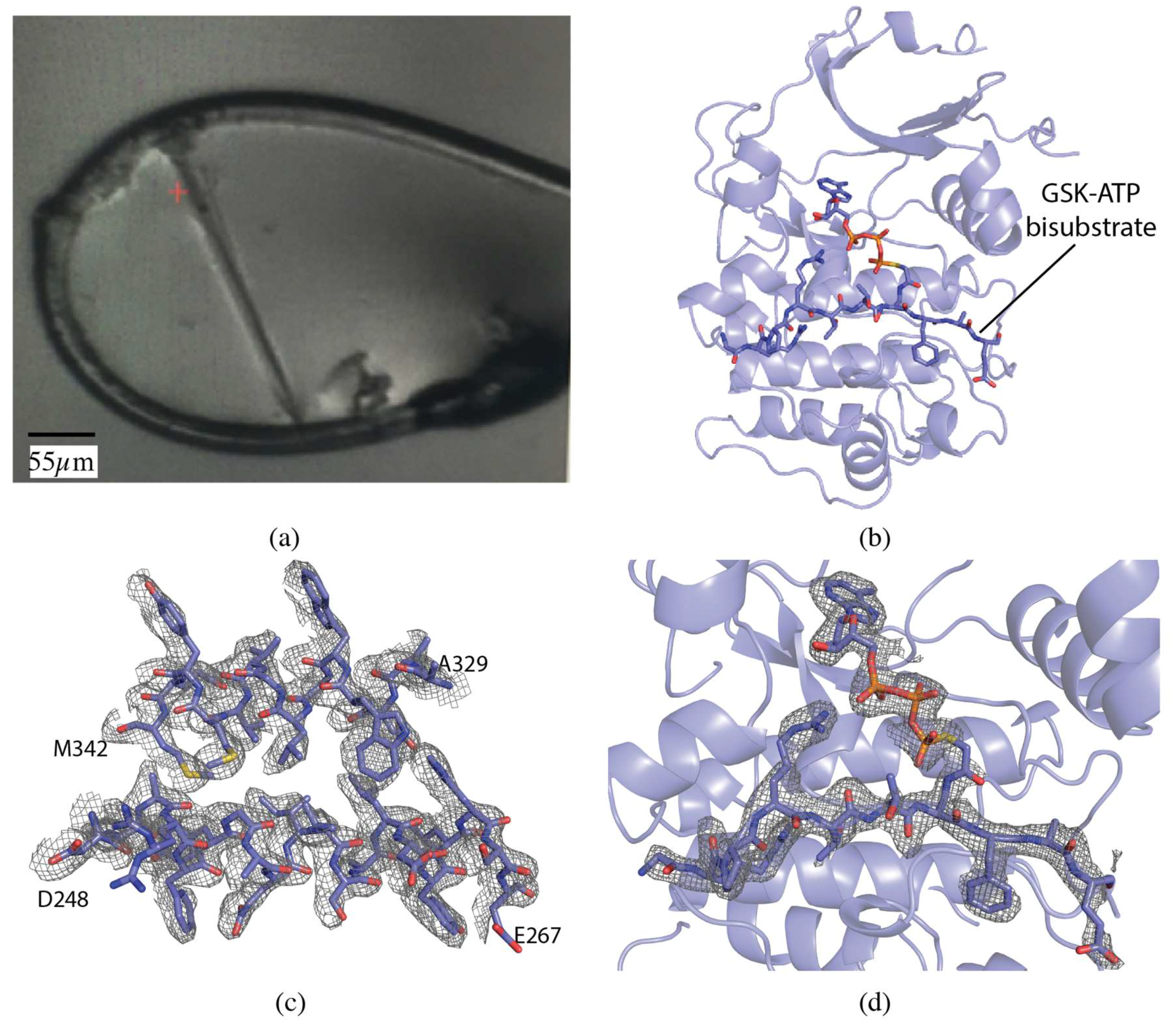 Molecules 24 00496 g001 Molecules 24 00496 g001