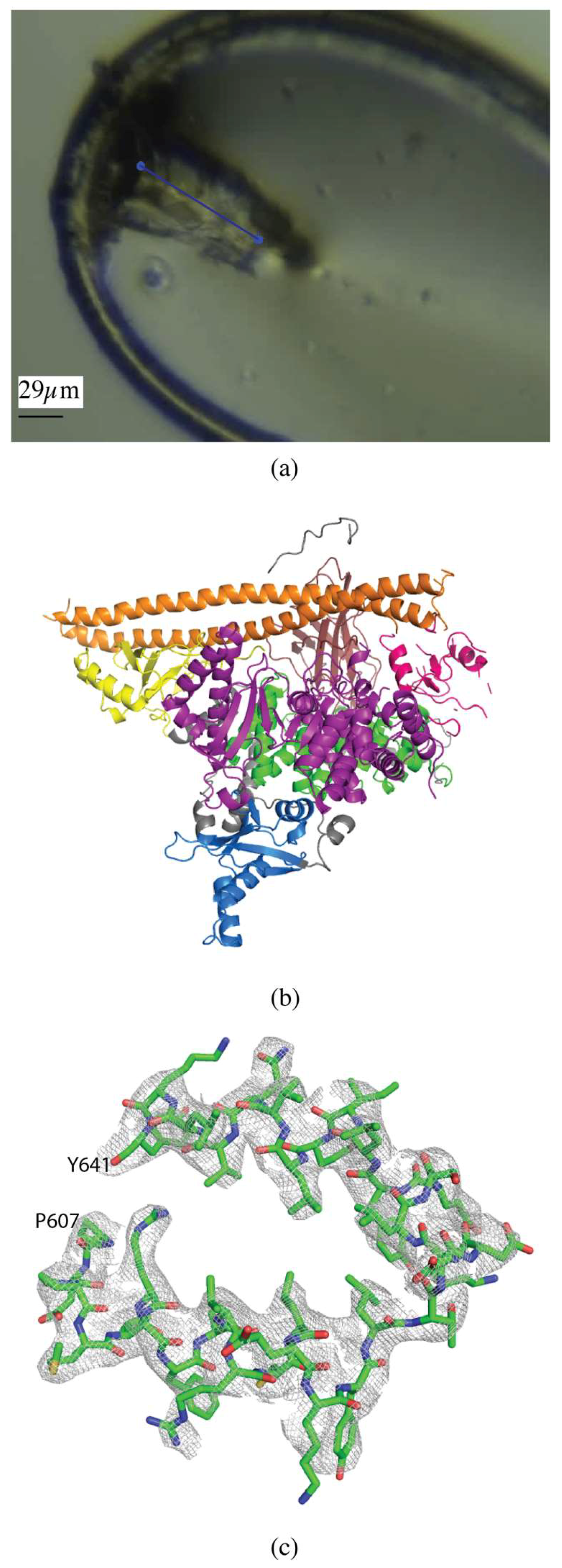 Molecules 24 00496 g002 Molecules 24 00496 g002