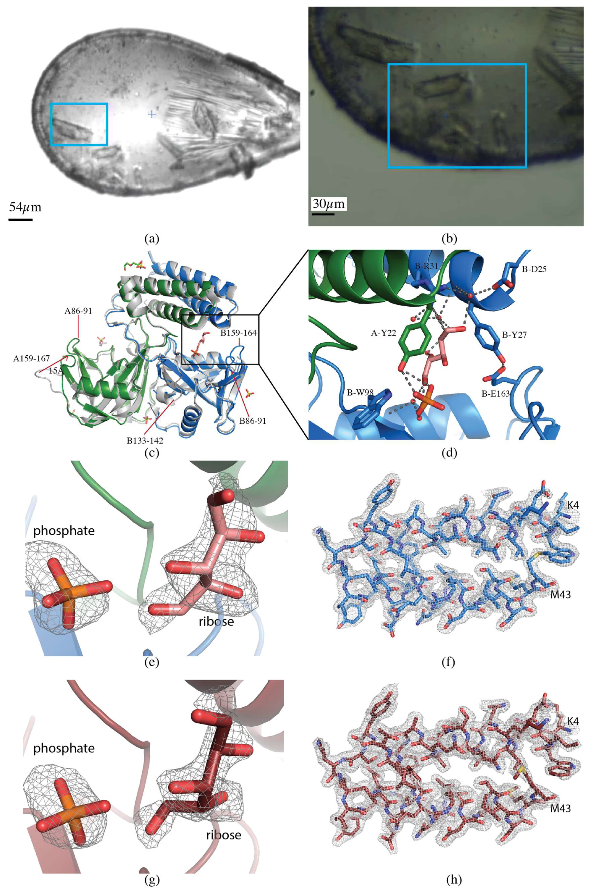 Molecules 24 00496 g003 Molecules 24 00496 g003