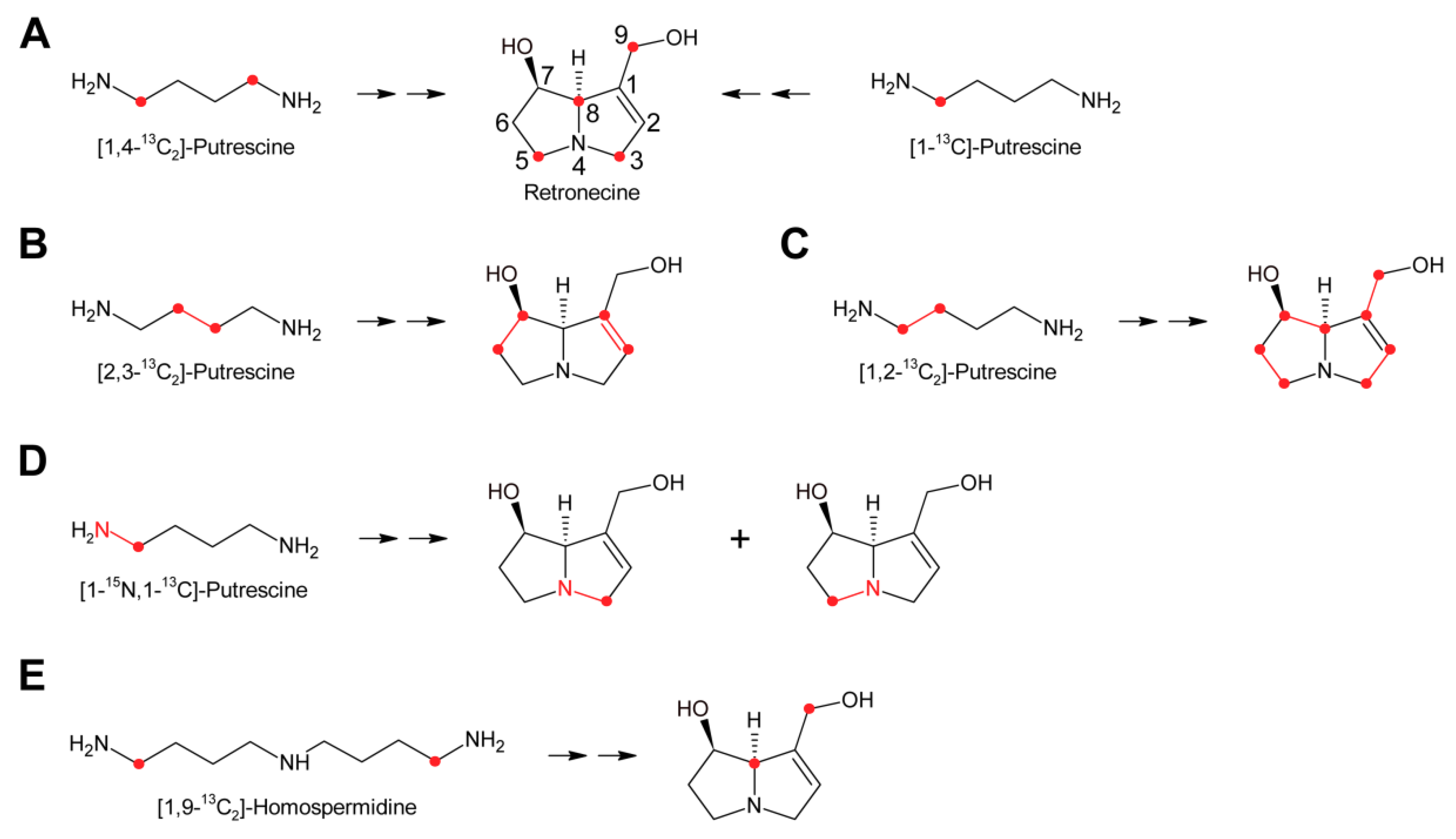 Molecules 24 00498 g007 Molecules 24 00498 g007