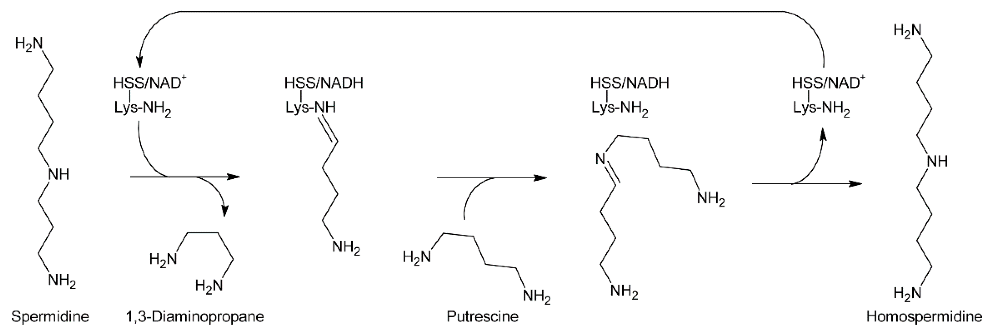 Molecules 24 00498 g008 Molecules 24 00498 g008