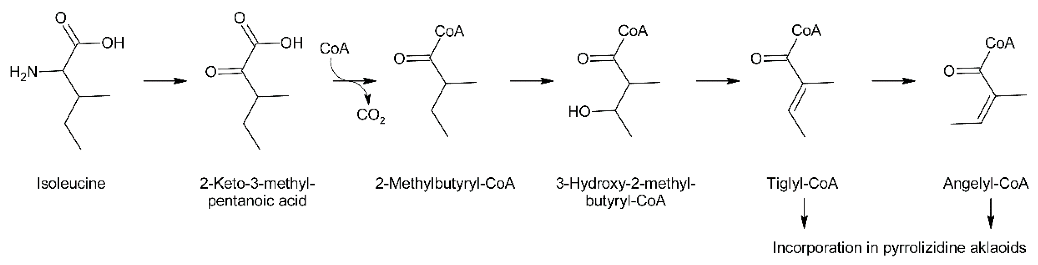 Molecules 24 00498 g011 Molecules 24 00498 g011