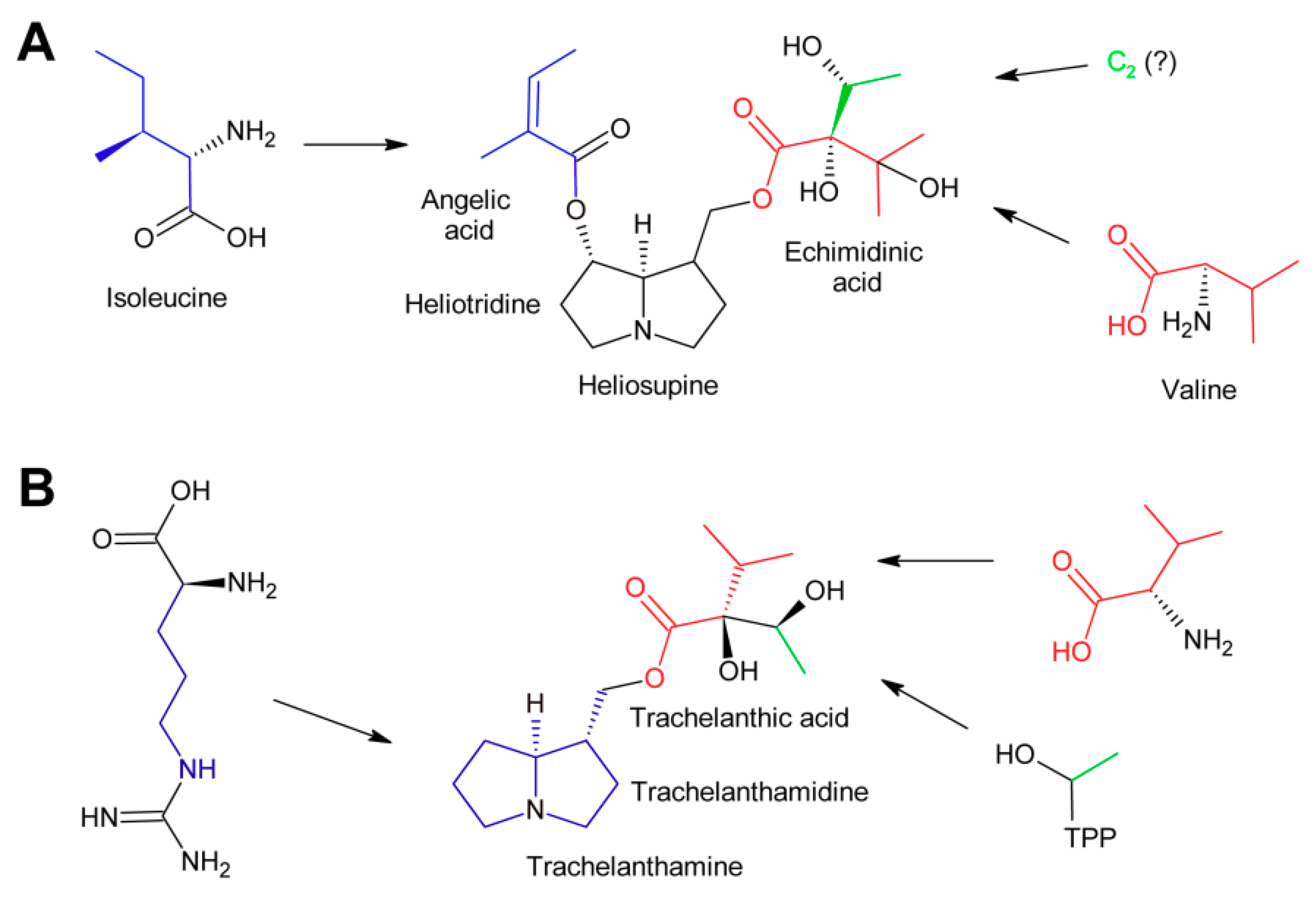 Molecules 24 00498 g012 Molecules 24 00498 g012