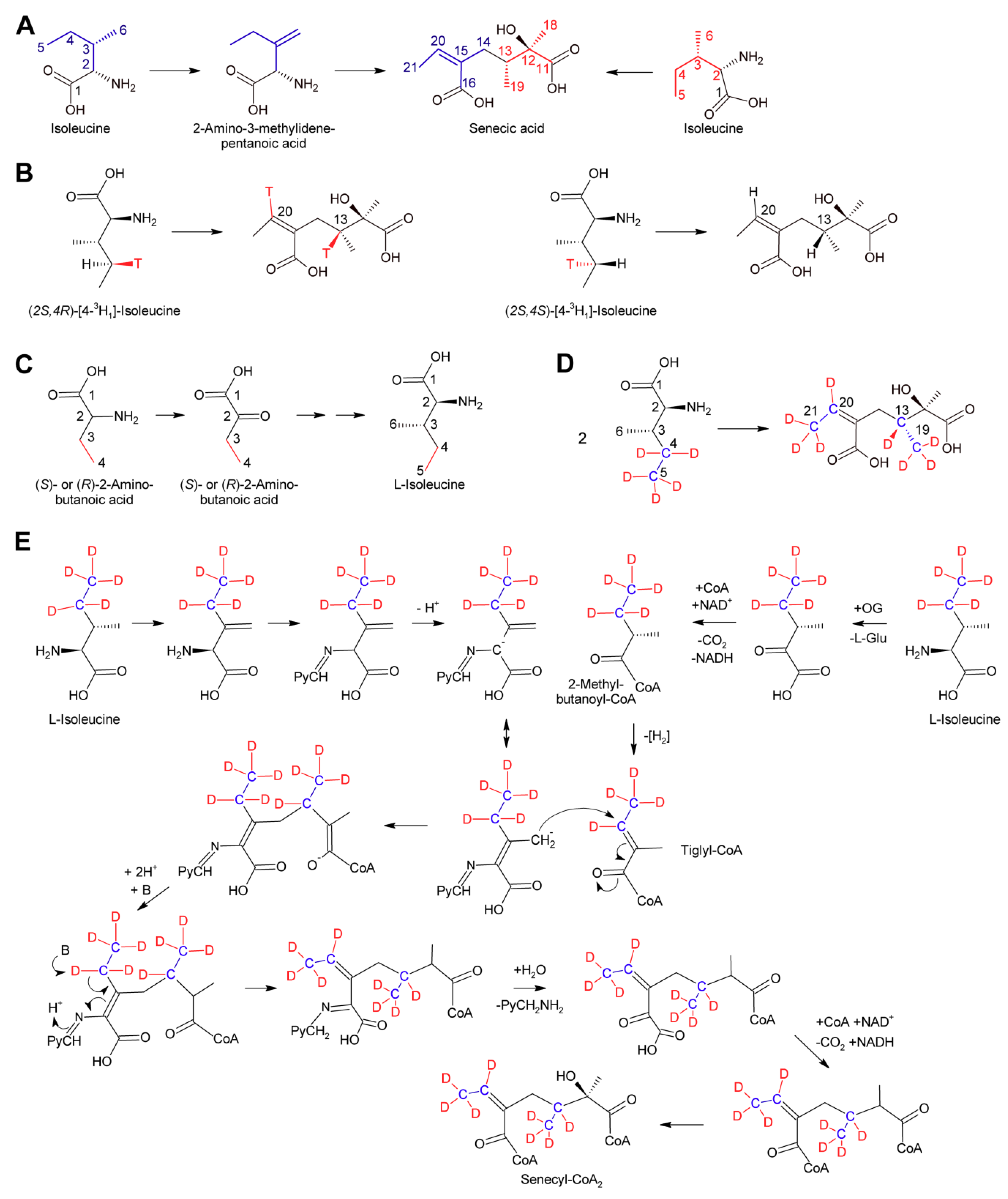 Molecules 24 00498 g014 Molecules 24 00498 g014