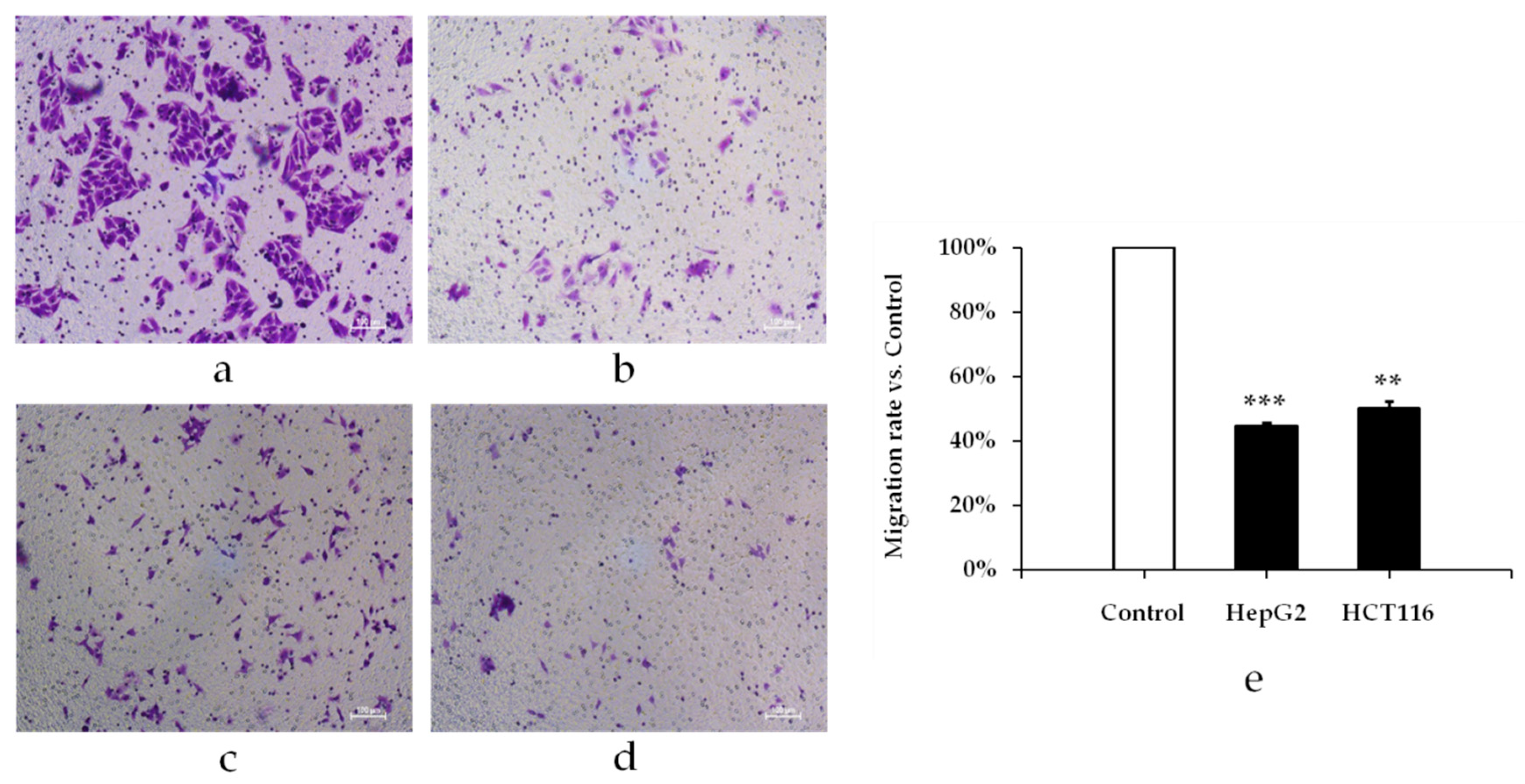 Molecules 24 00499 g004