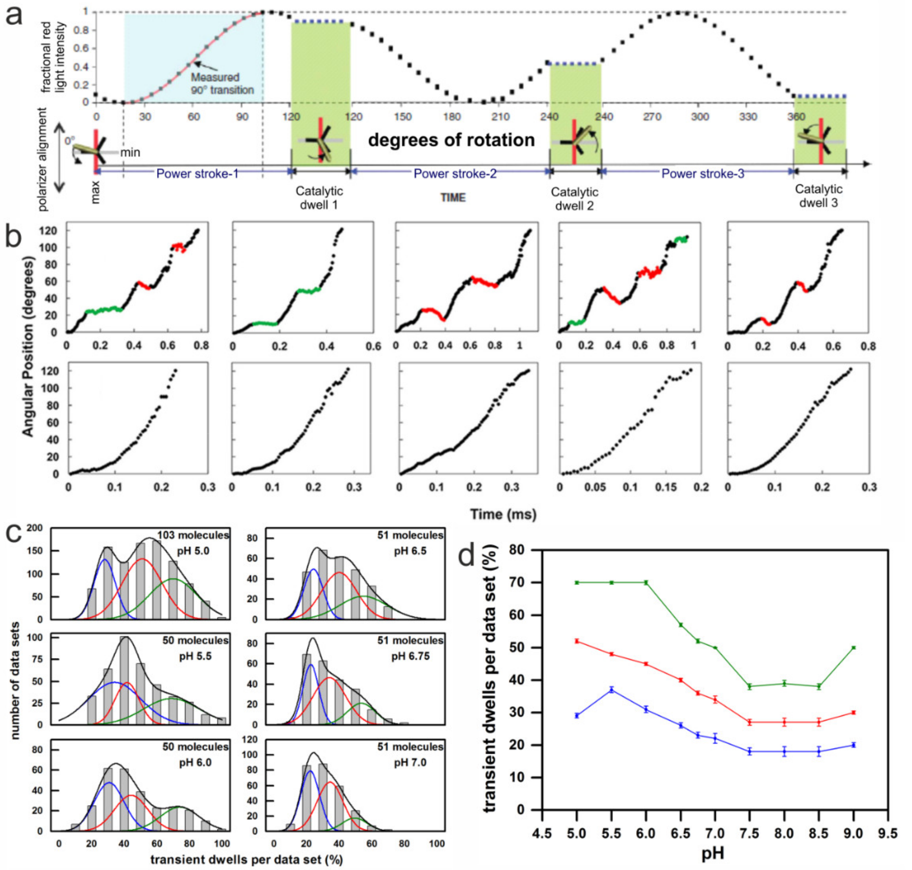 Molecules 24 00504 g005