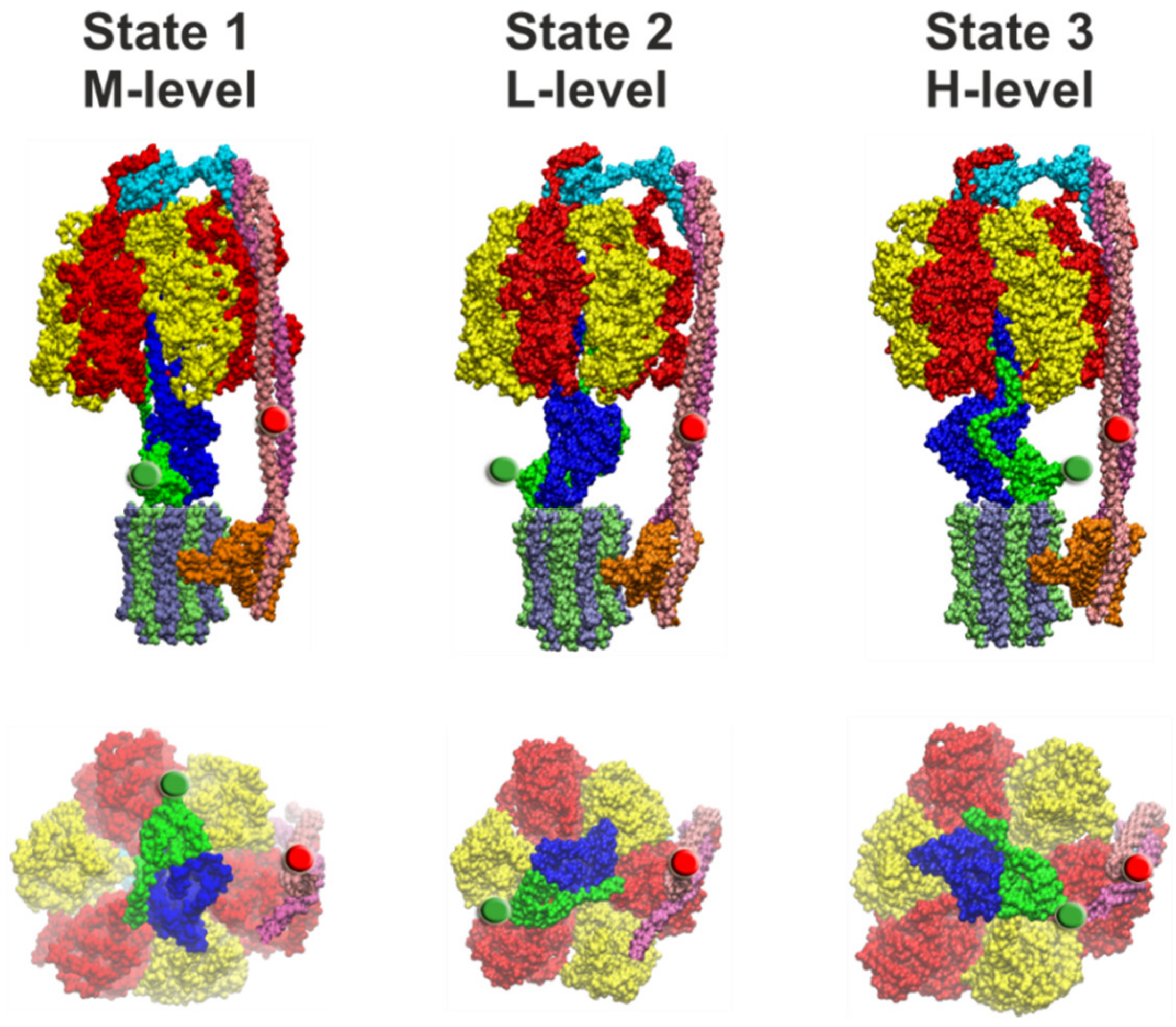 Molecules 24 00504 g006