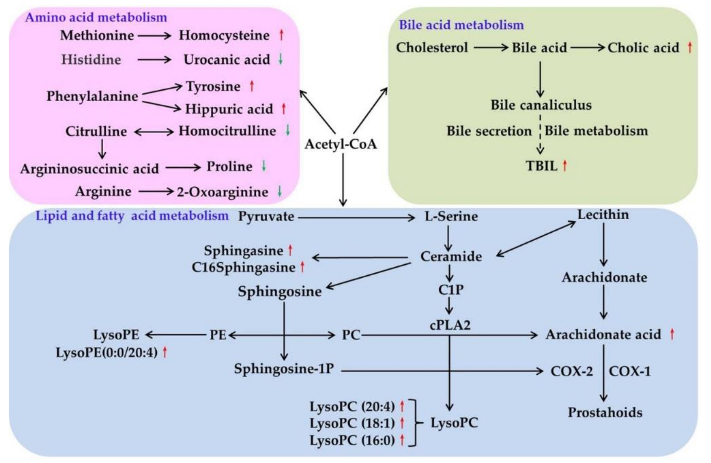 Molecules 24 00511 g010