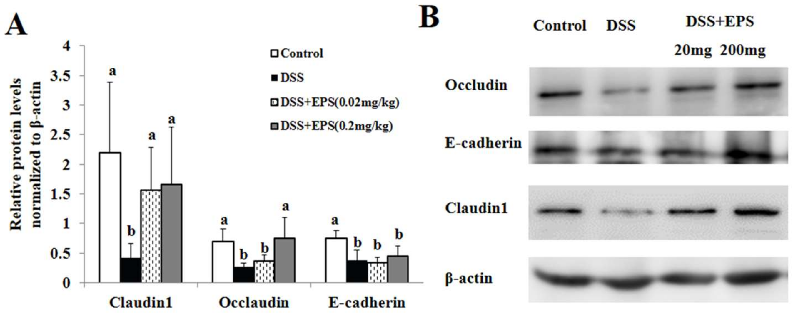 Molecules 24 00513 g004