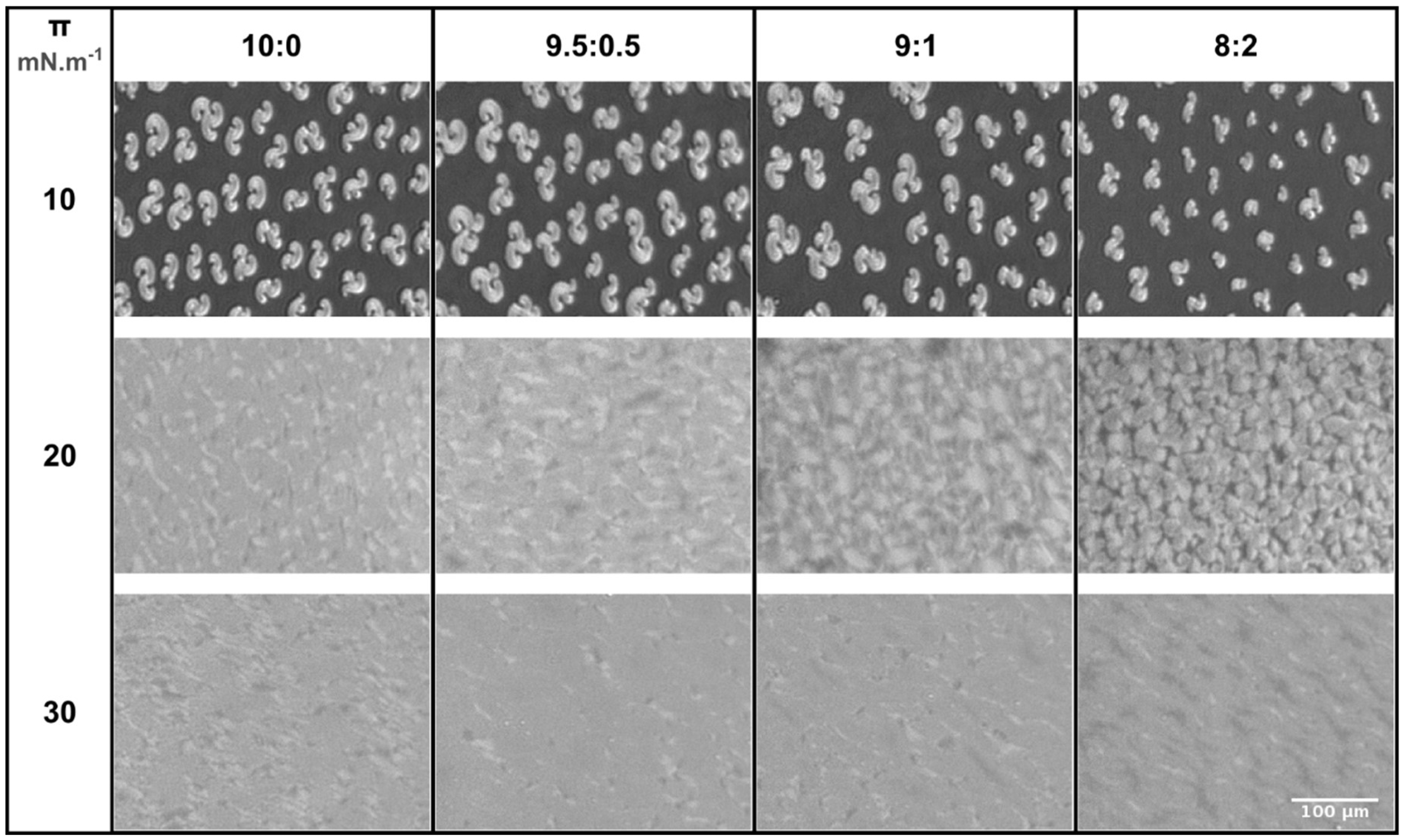 Molecules 24 00516 g003