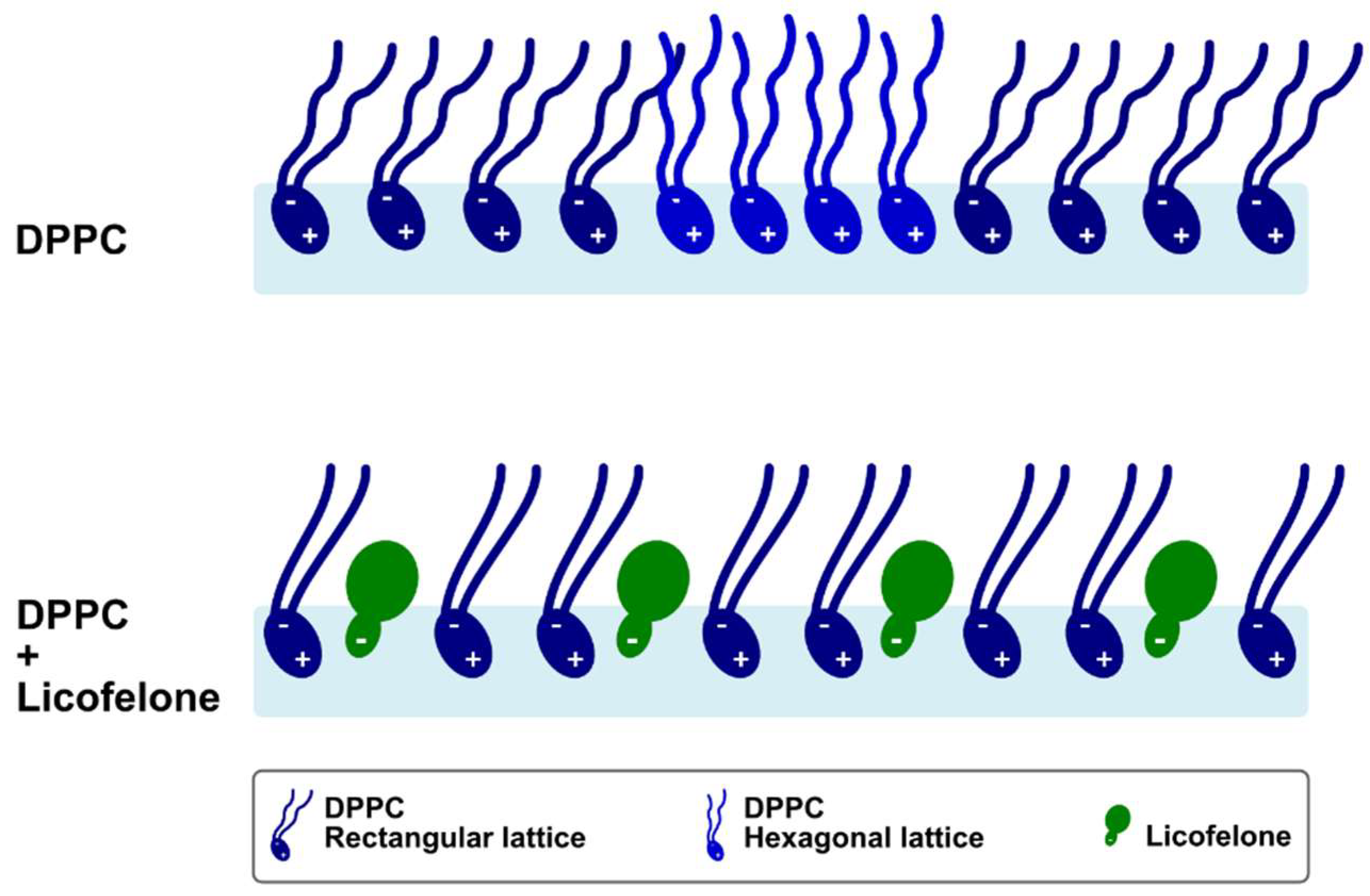 Molecules 24 00516 g006