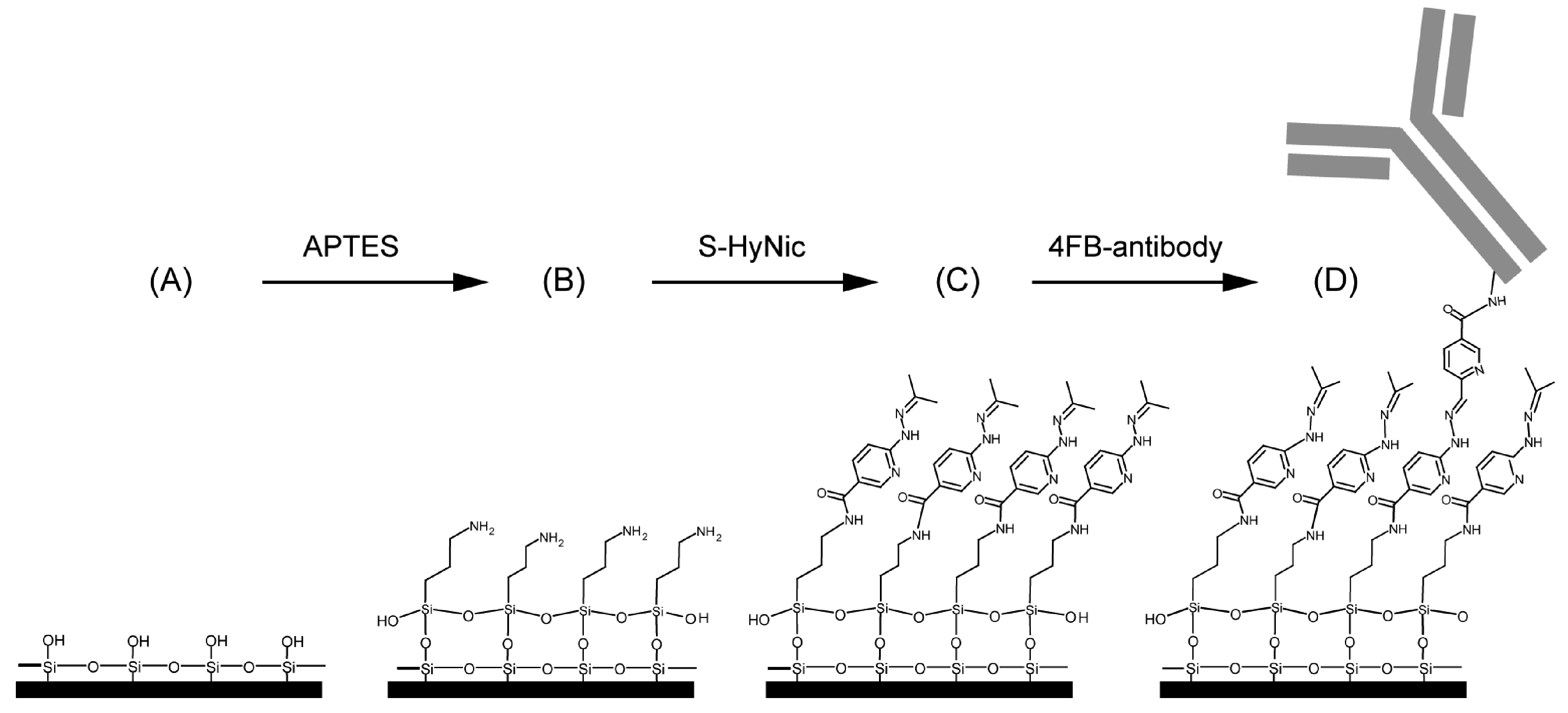 Molecules 24 00519 g005