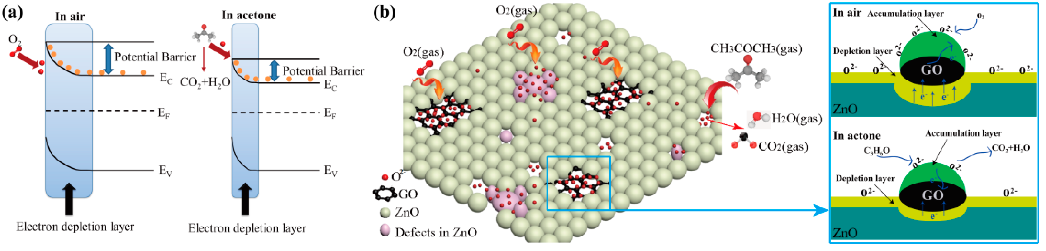 Molecules 24 00522 sch001