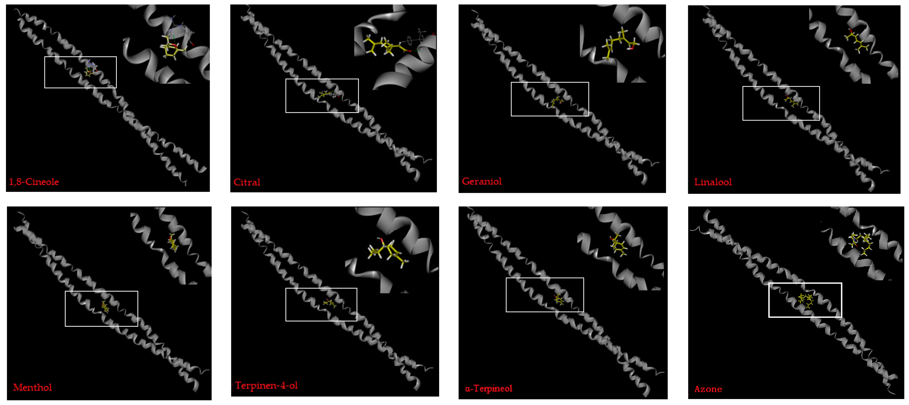 Molecules 24 00523 g007