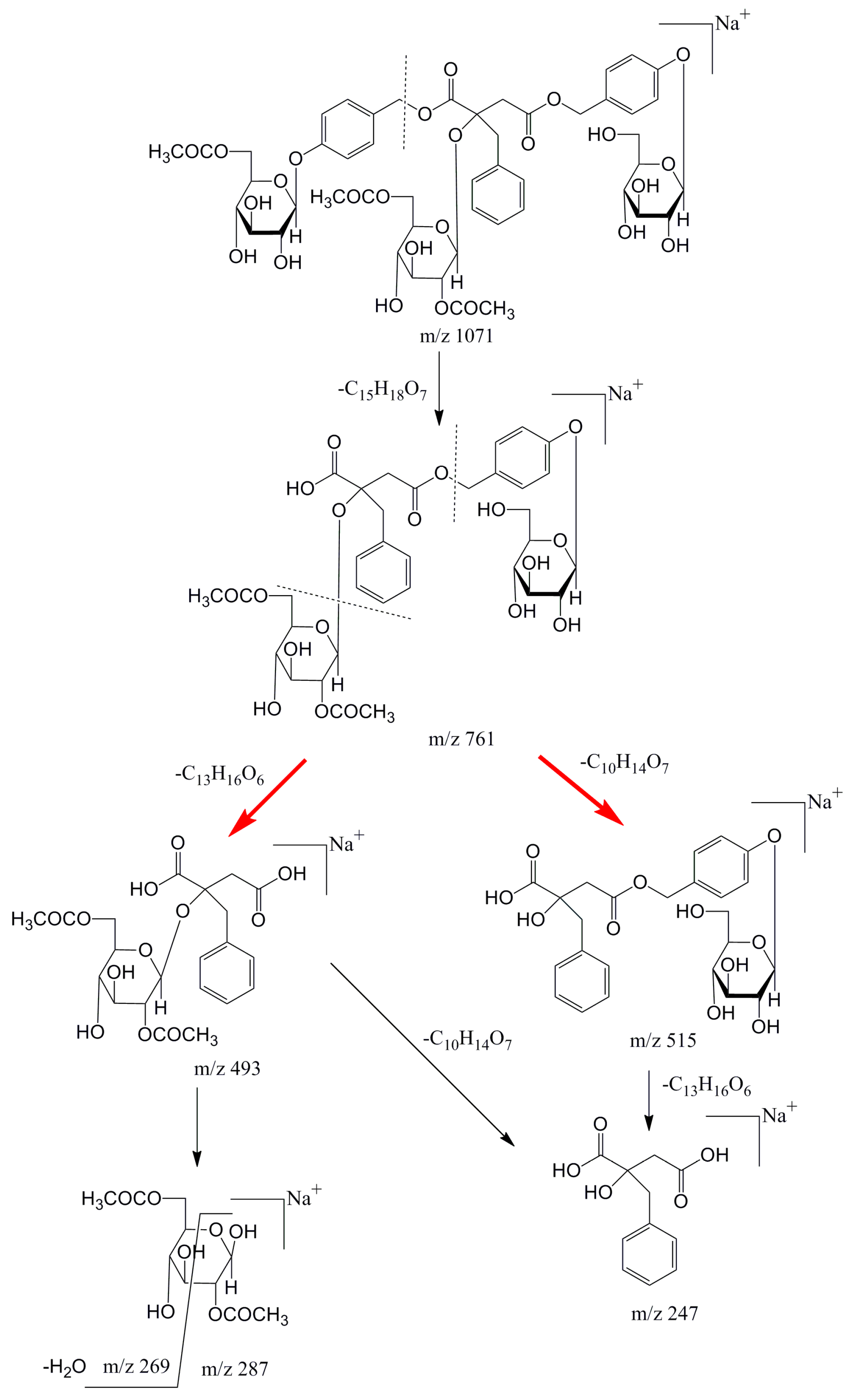 Molecules 24 00525 g004 Molecules 24 00525 g004