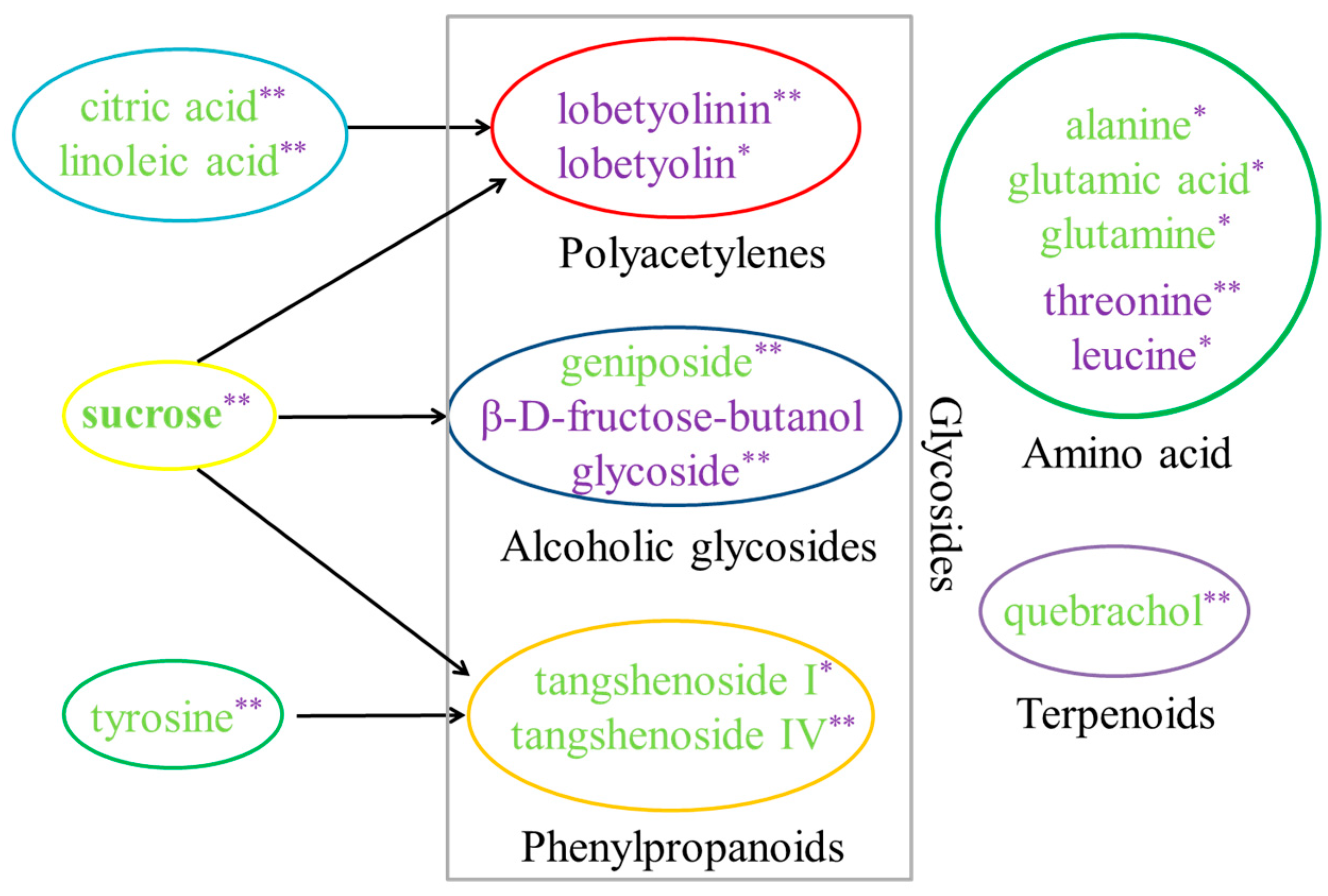 Molecules 24 00533 g008 Molecules 24 00533 g008