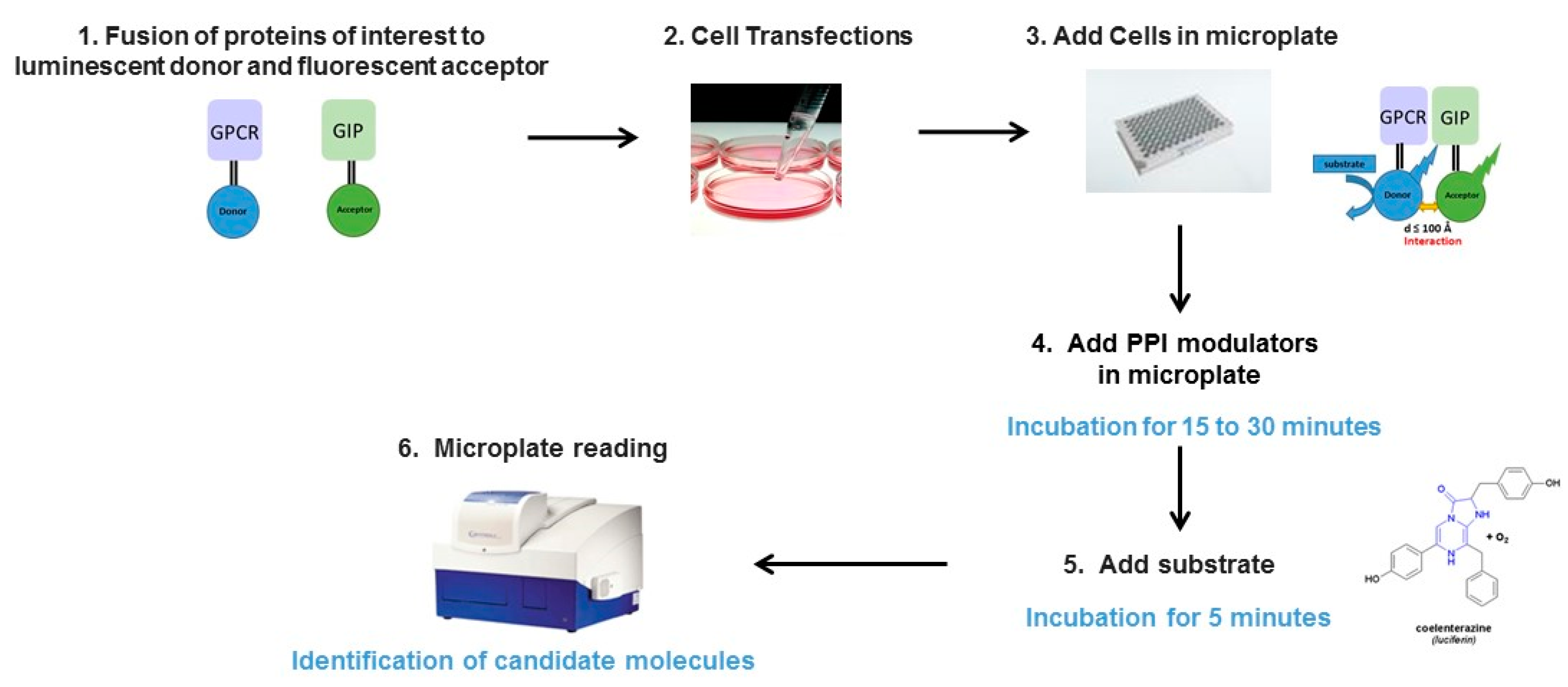 Molecules 24 00537 g003 Molecules 24 00537 g003