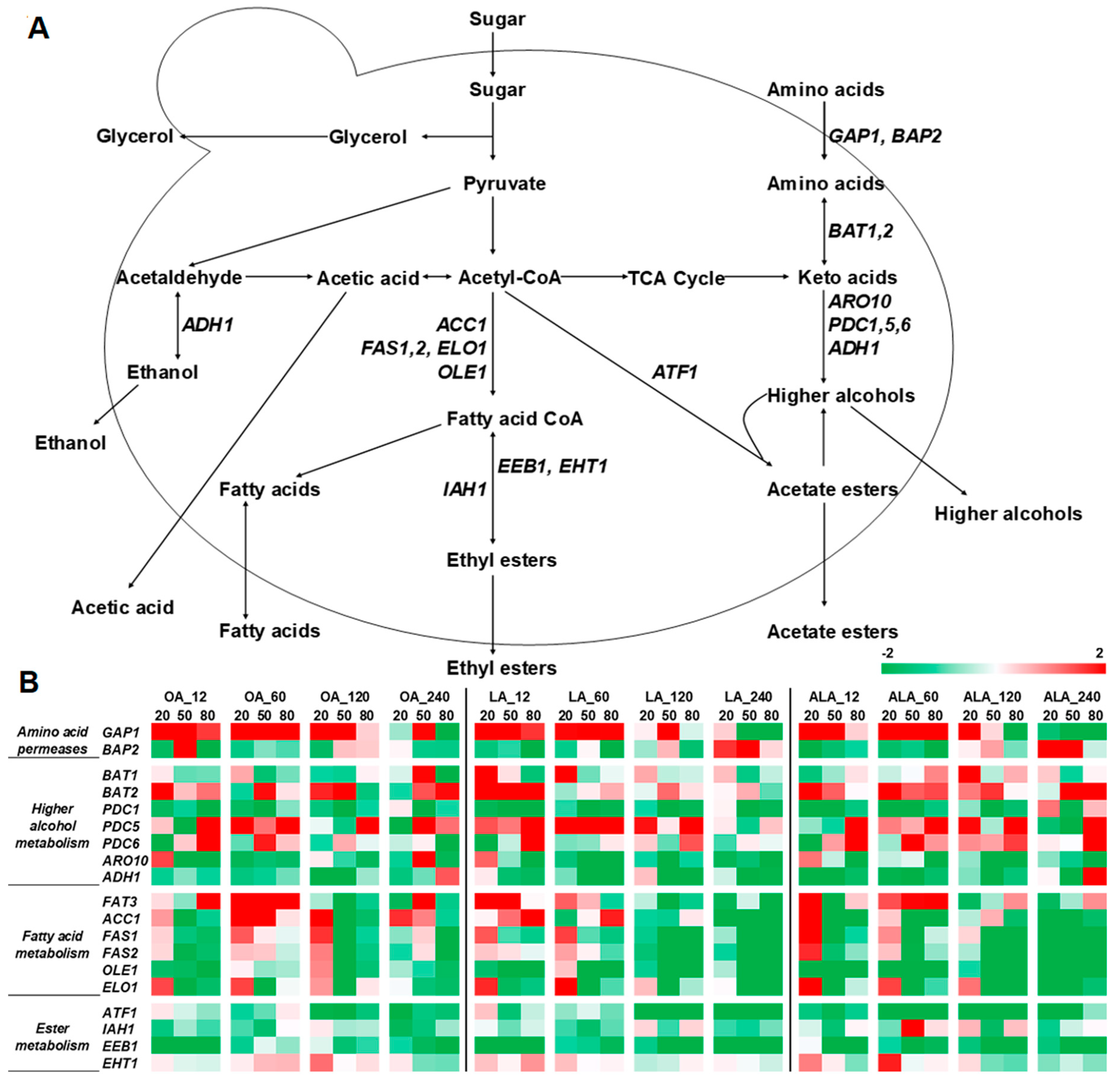 Molecules 24 00538 g005