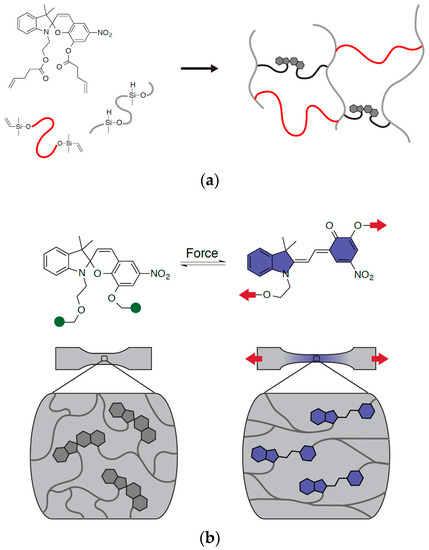 Seeing' Strain in Soft Materials