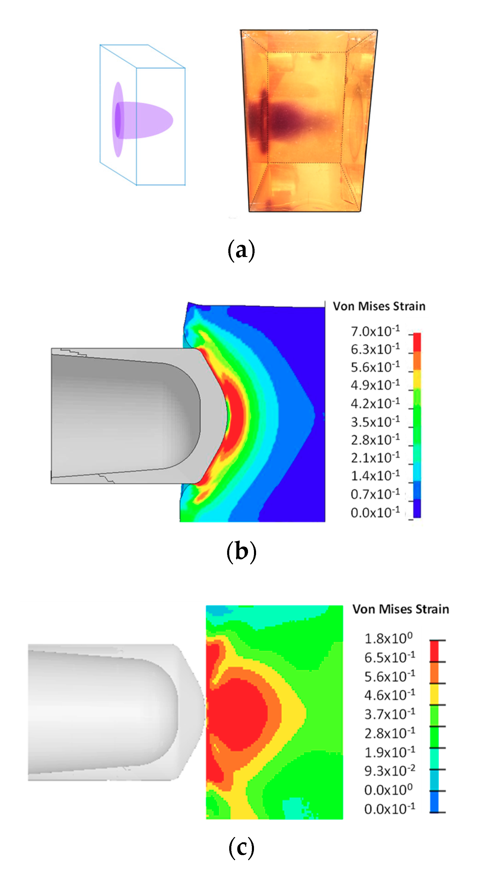 Molecules 24 00542 g006 550