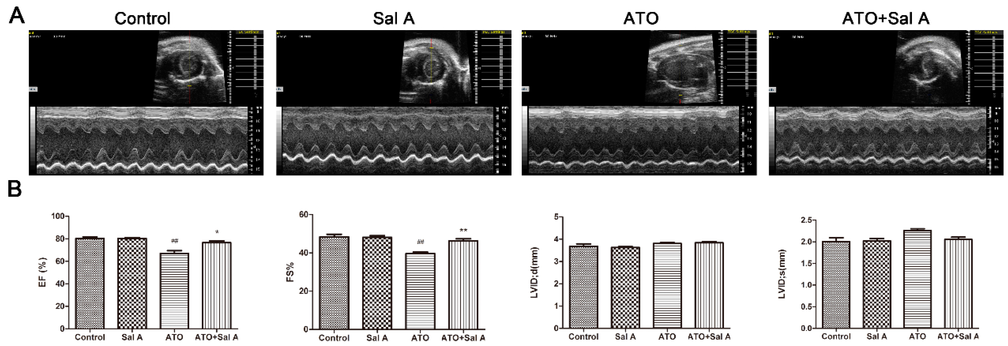 Molecules 24 00543 g002 Molecules 24 00543 g002