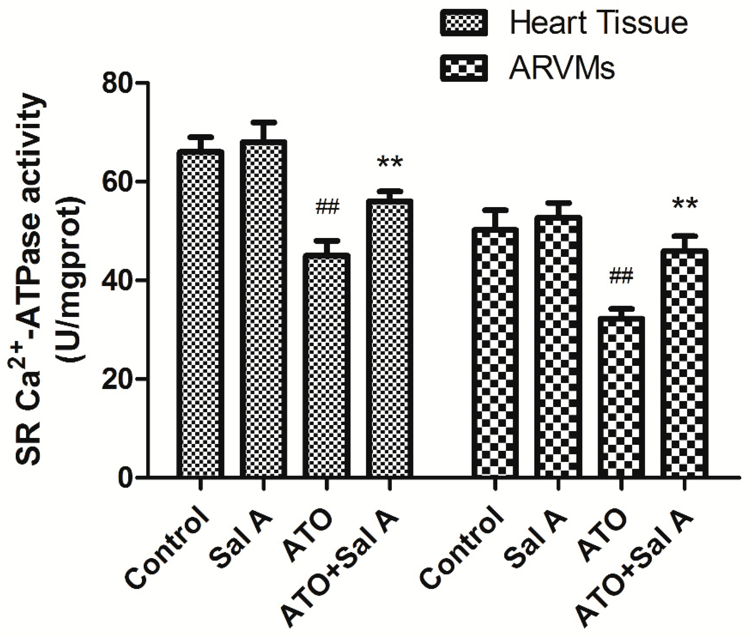 Molecules 24 00543 g006 Molecules 24 00543 g006