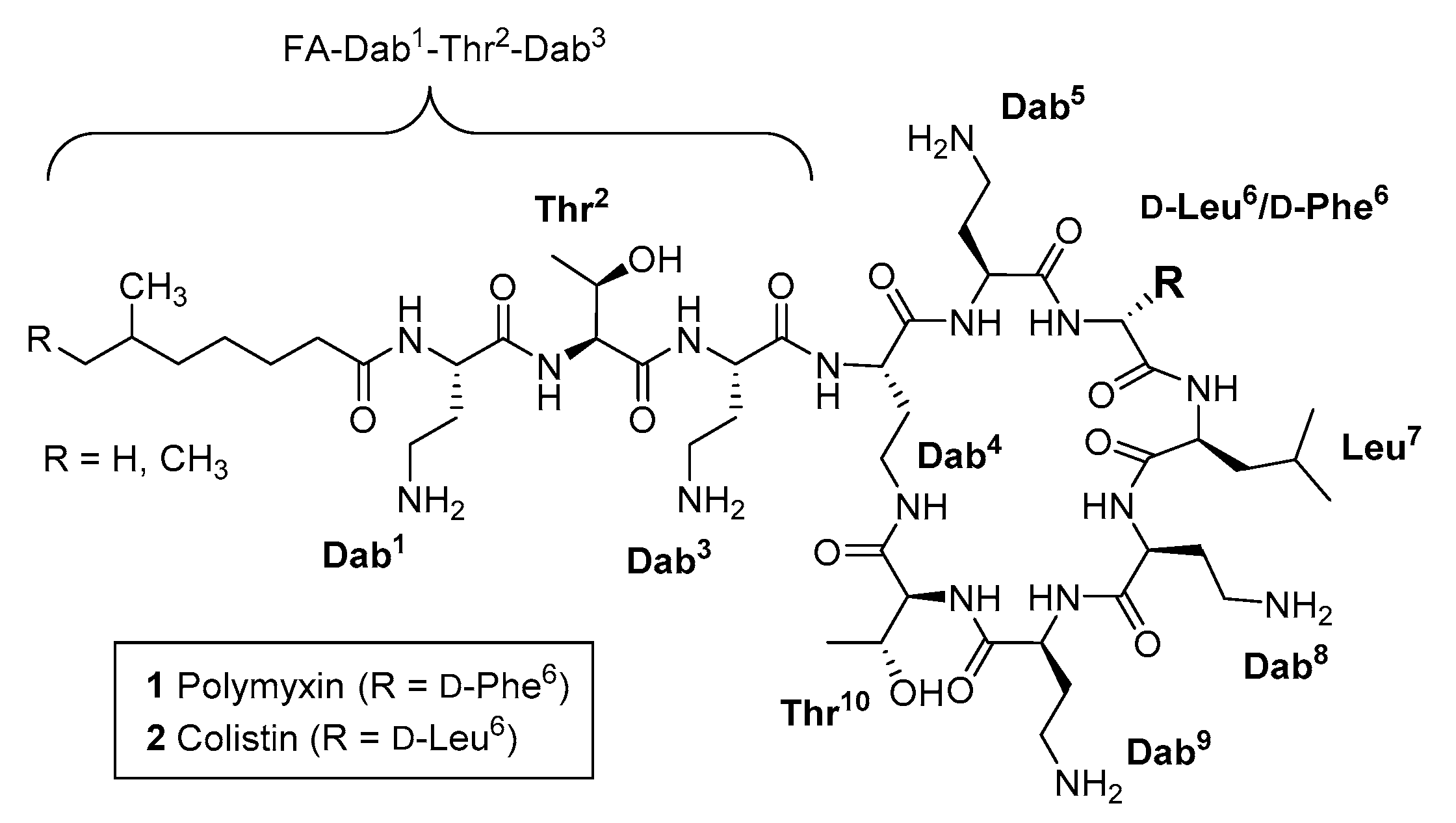 Molecules 24 00553 g001