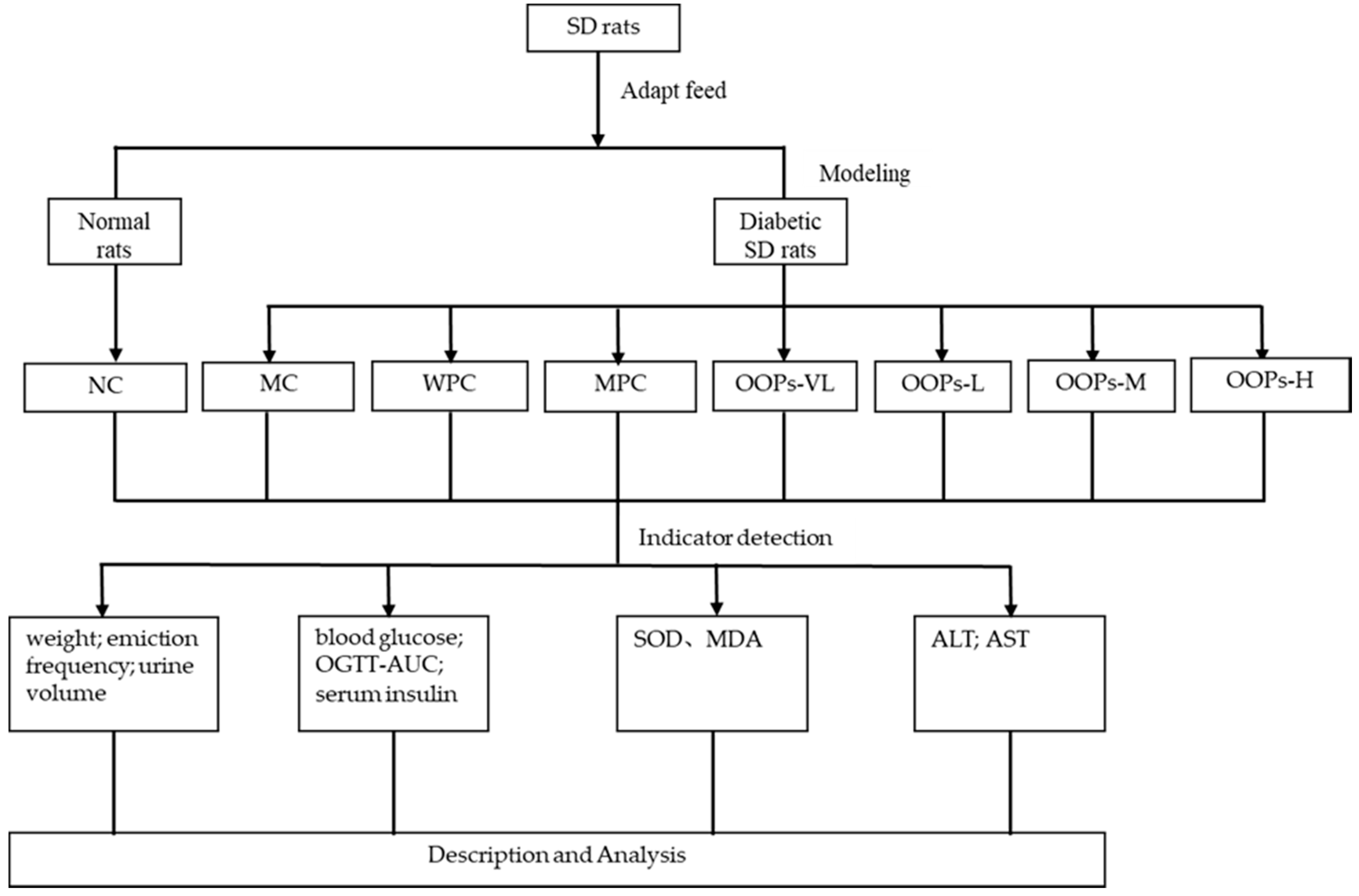 Molecules 24 00558 g006