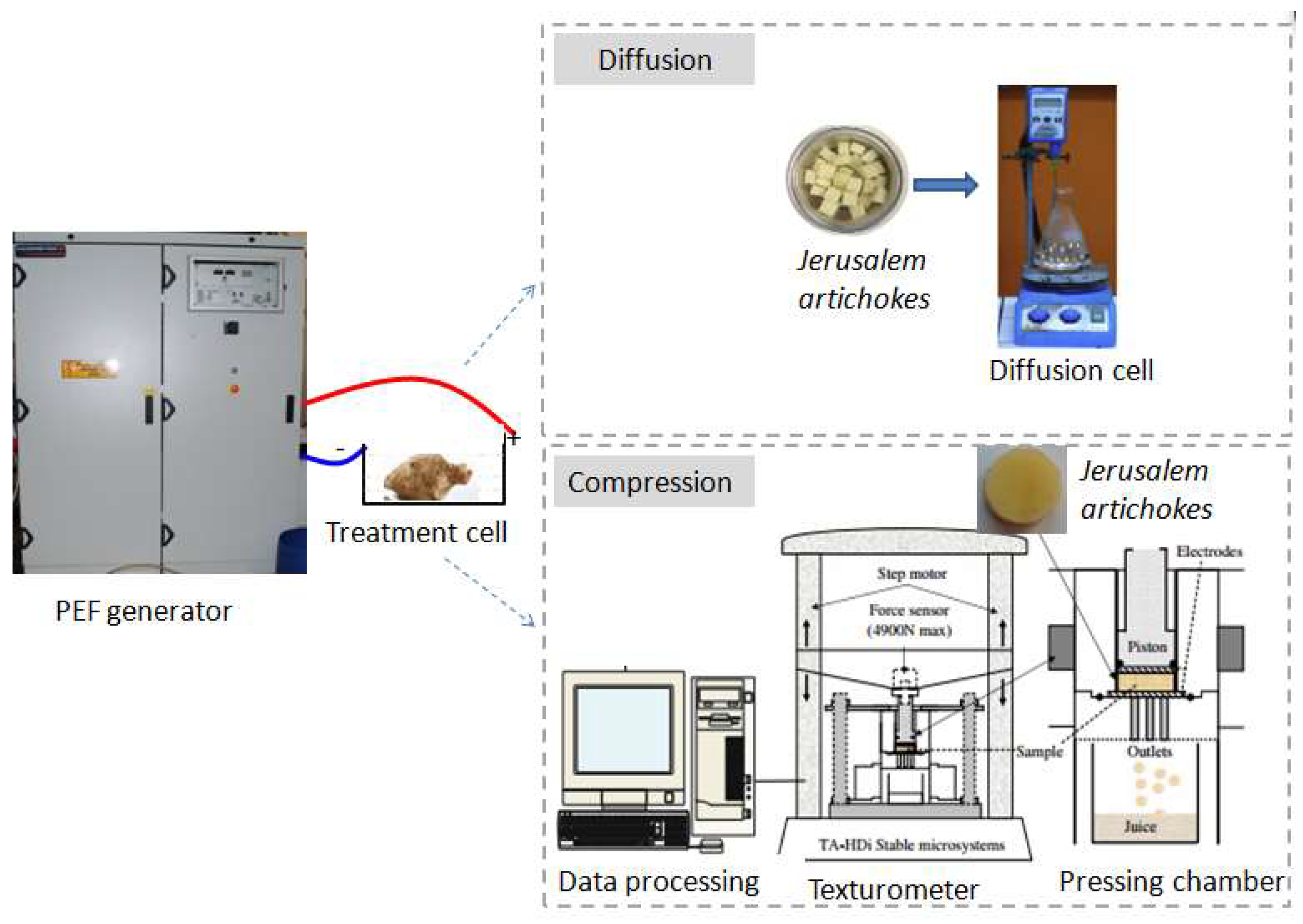 Molecules 24 00559 g001 Molecules 24 00559 g001