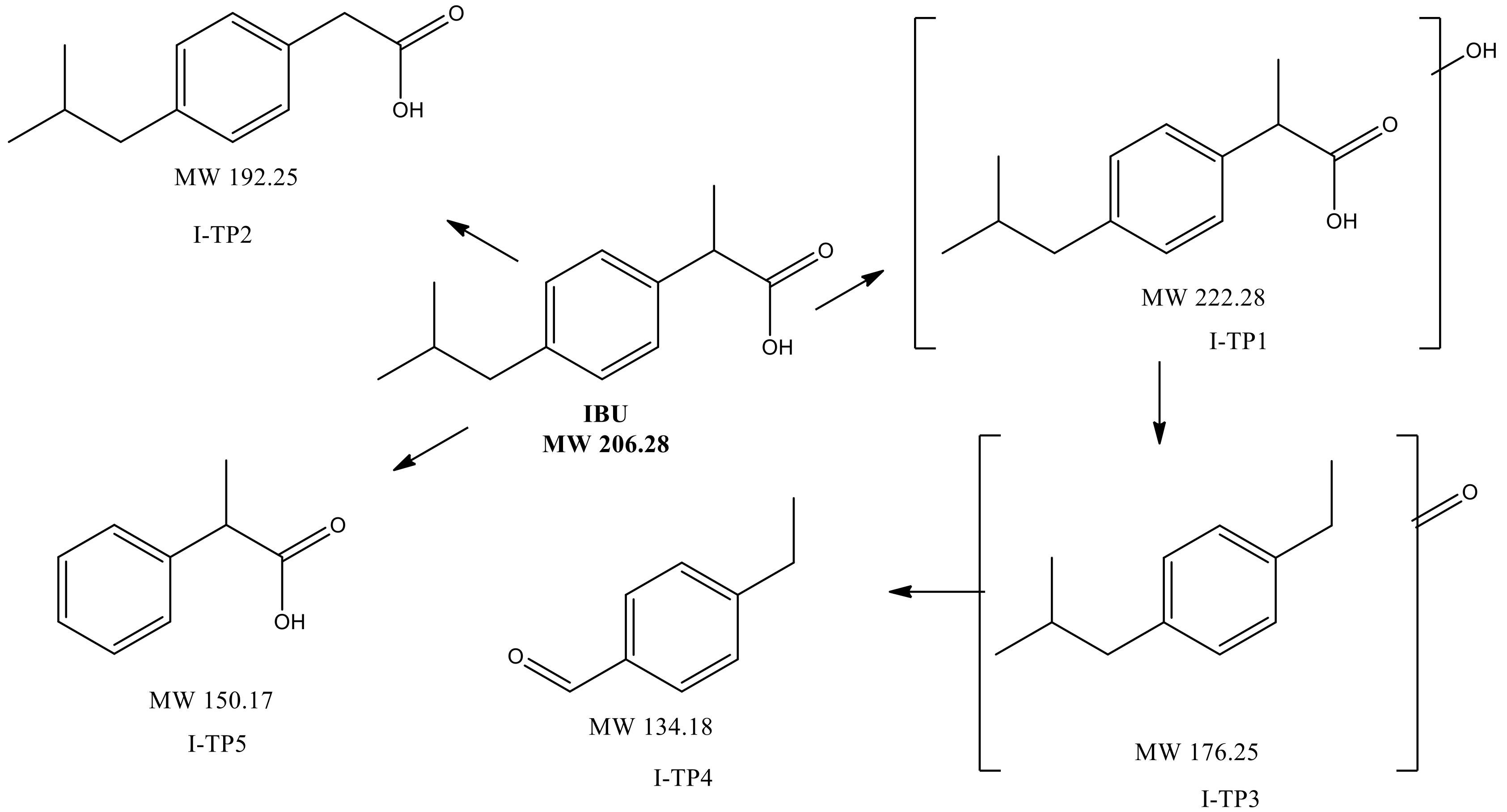 Molecules 24 00564 g008 Molecules 24 00564 g008
