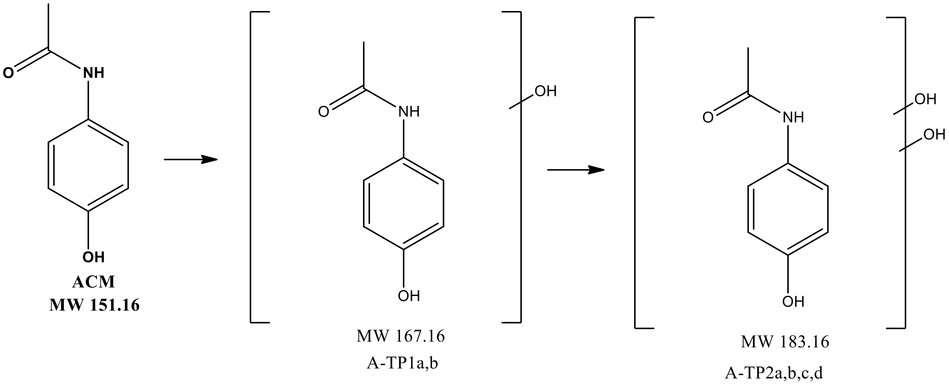 Molecules 24 00564 g012 Molecules 24 00564 g012
