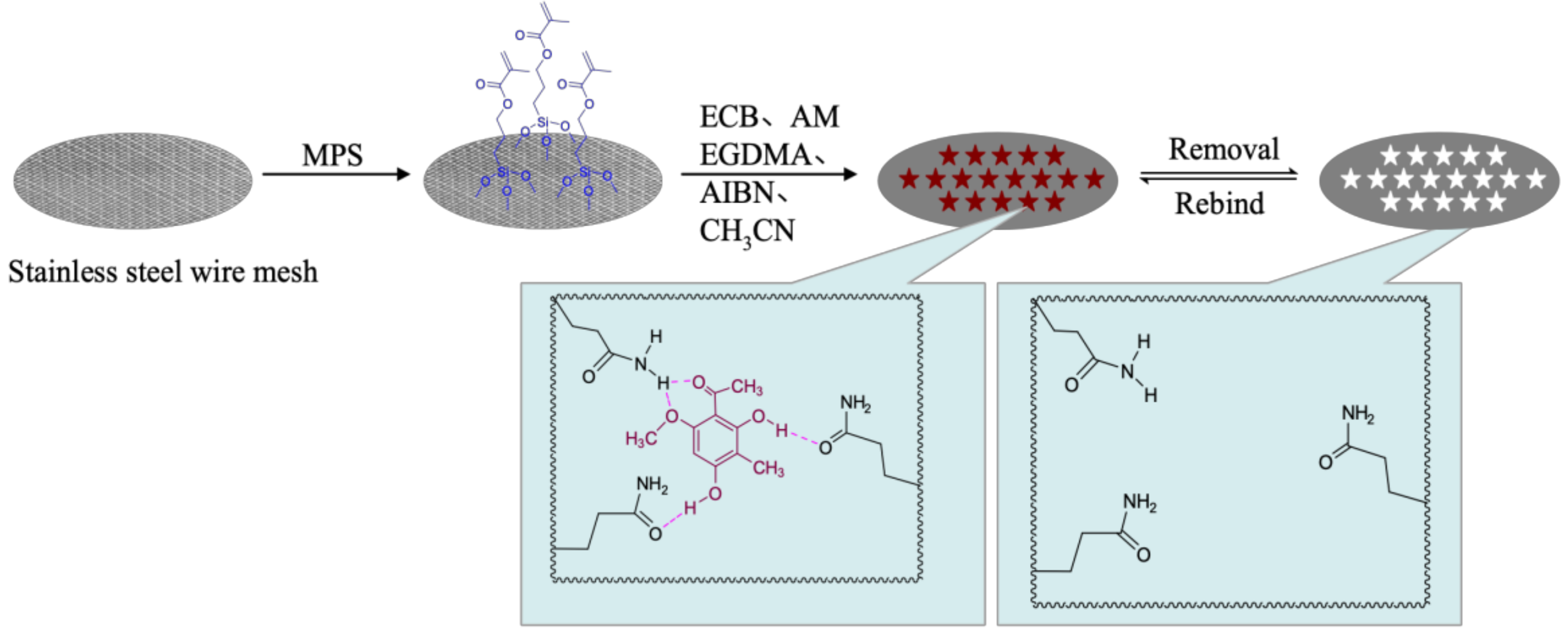 Molecules 24 00565 g001 Molecules 24 00565 g001