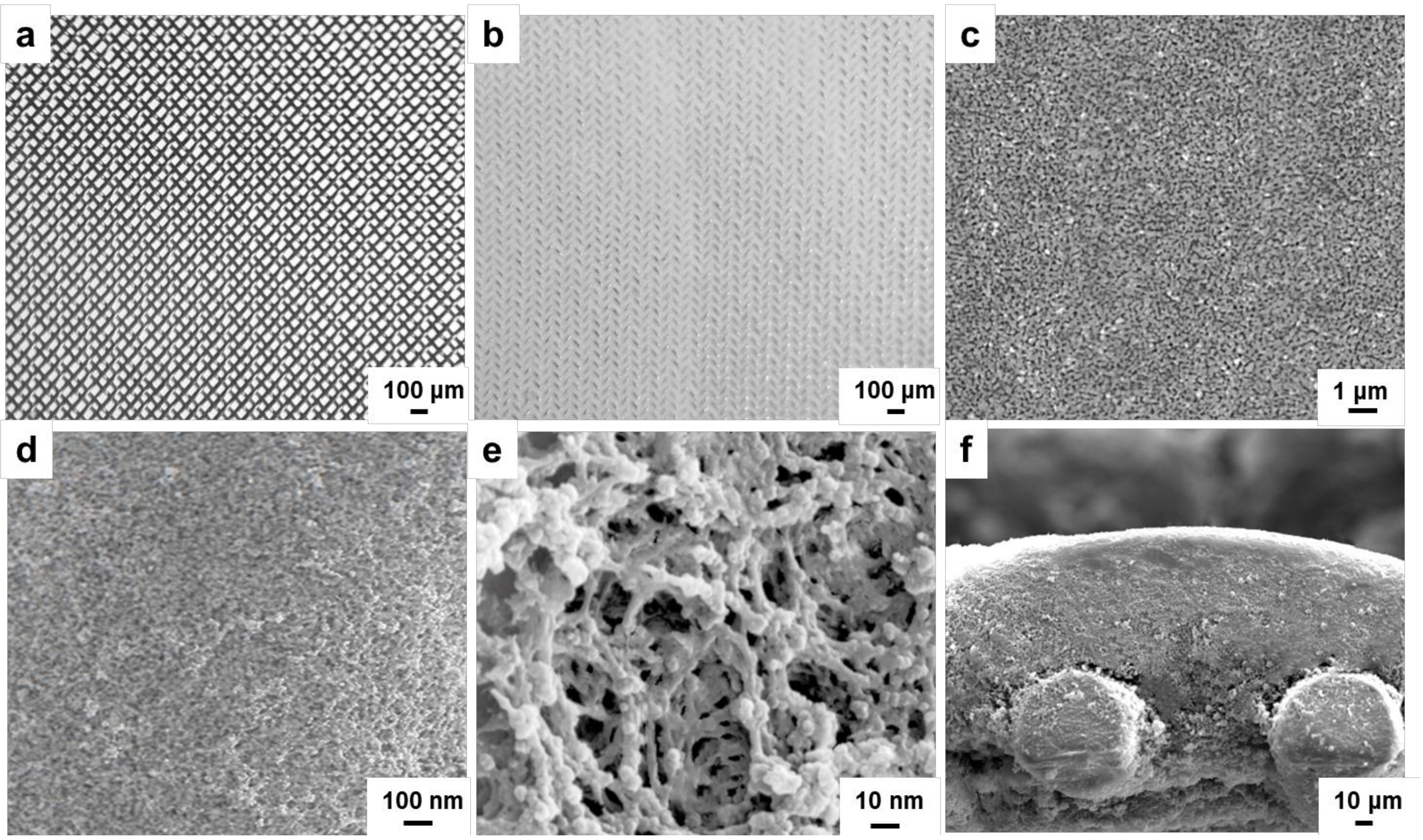 Molecules 24 00565 g007 Molecules 24 00565 g007