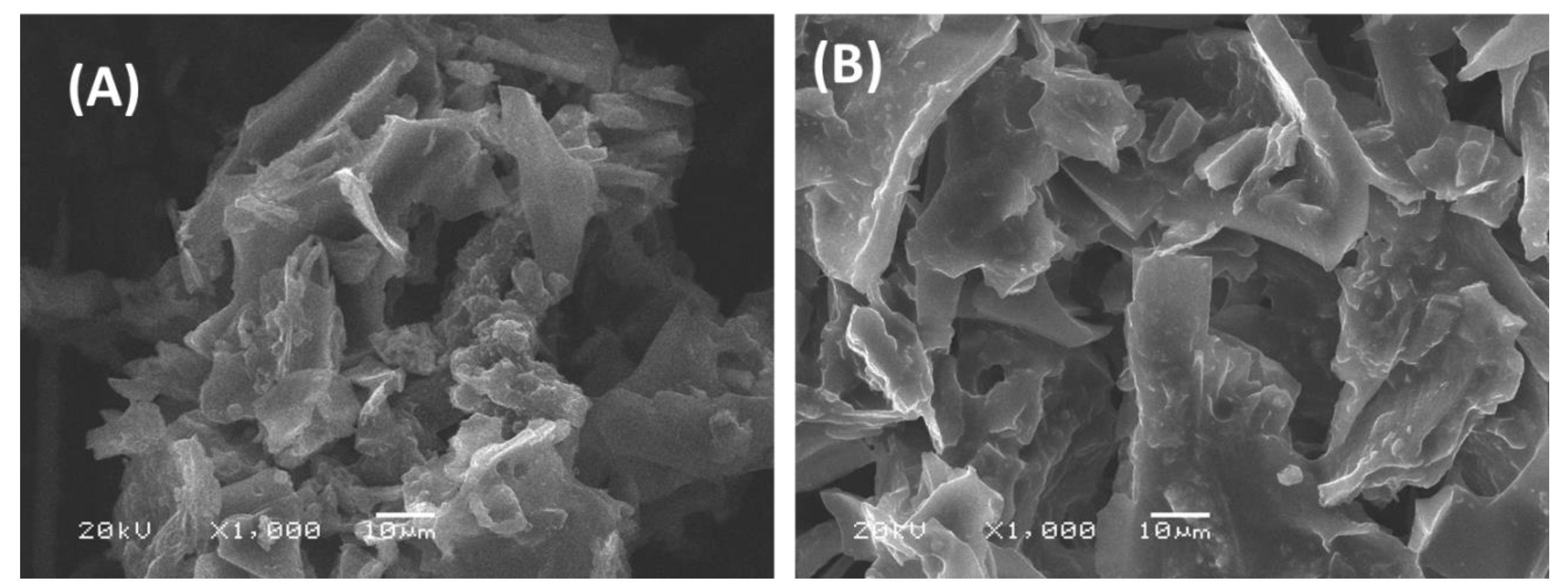 Molecules 24 00570 g001