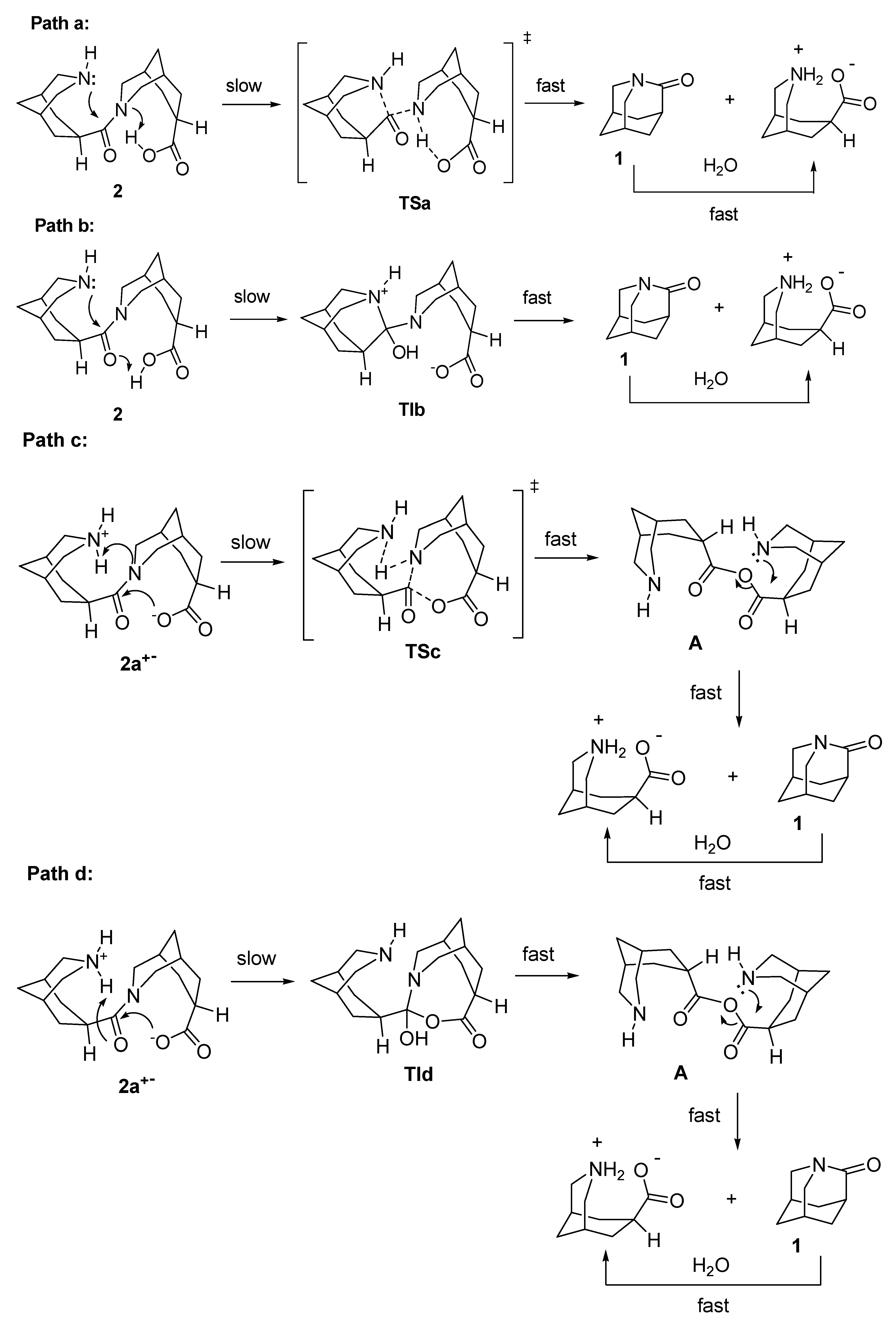 Molecules 24 00572 g007 Molecules 24 00572 g007