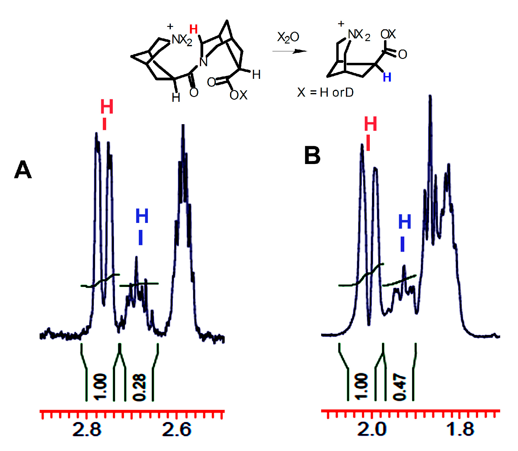 Molecules 24 00572 g009 Molecules 24 00572 g009