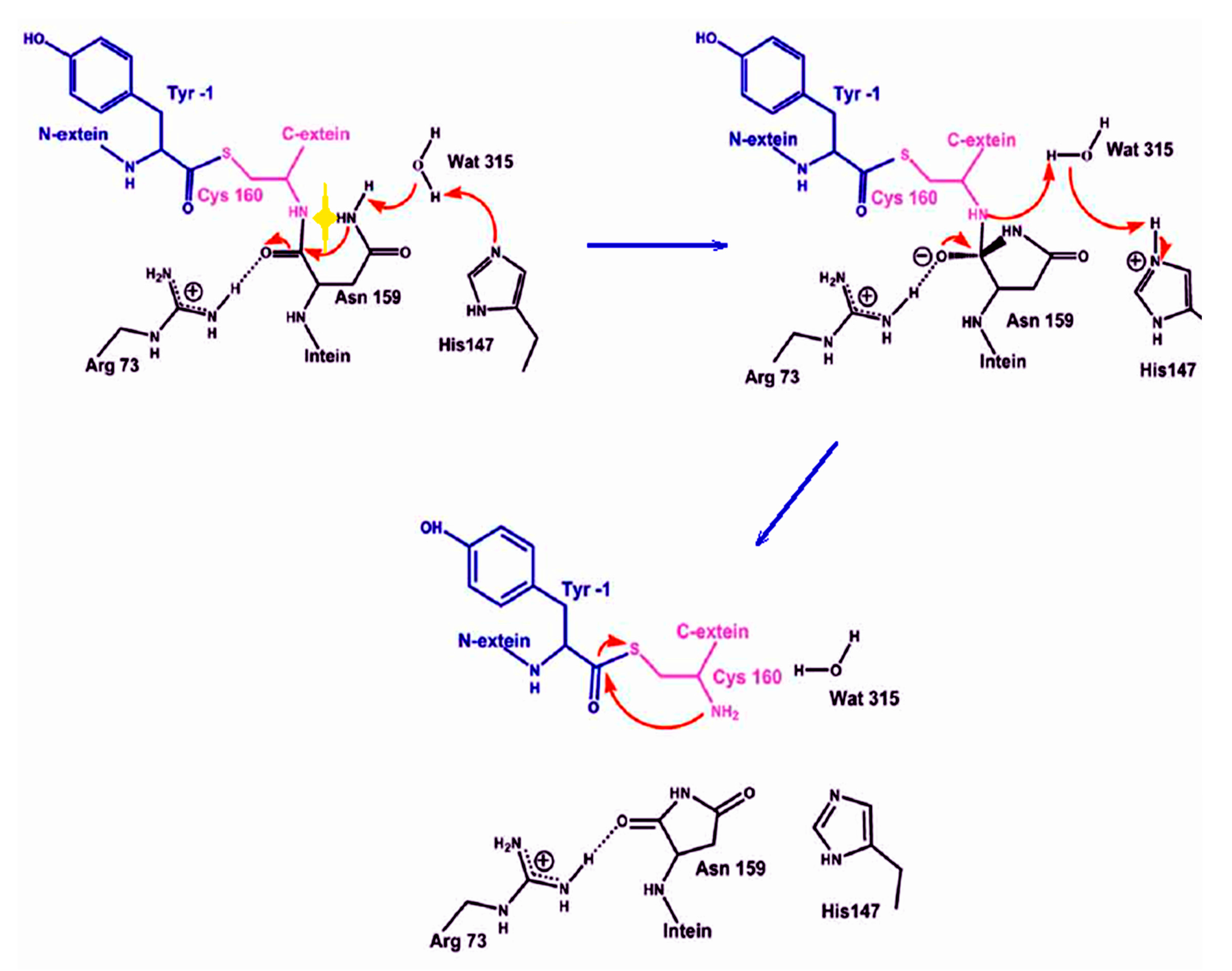 Molecules 24 00572 g010 Molecules 24 00572 g010