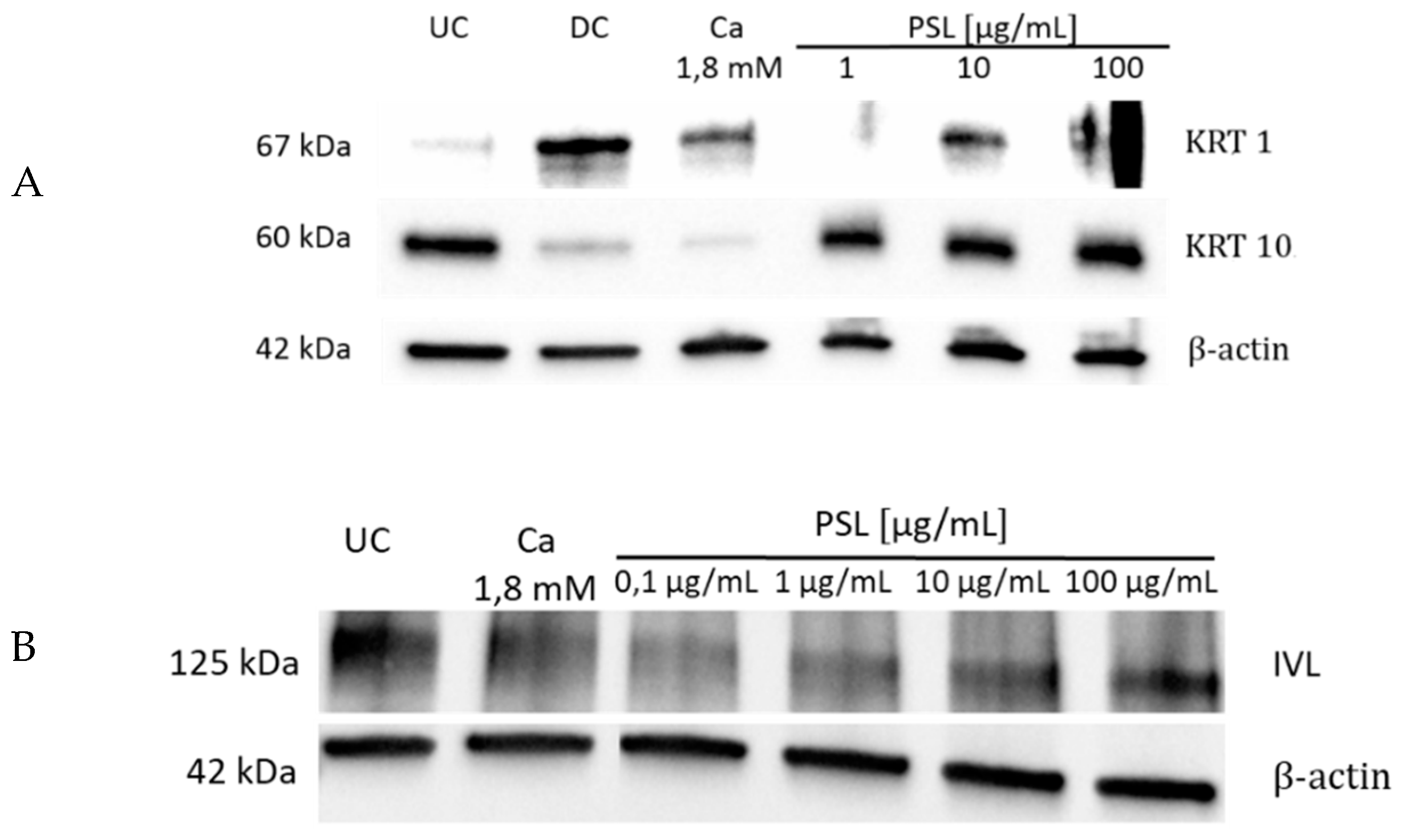 Molecules 24 00574 g003 550