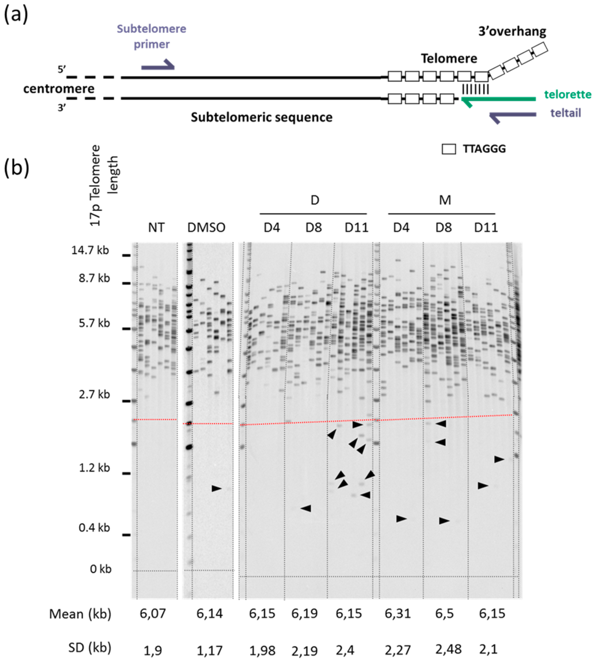 Molecules 24 00577 g002