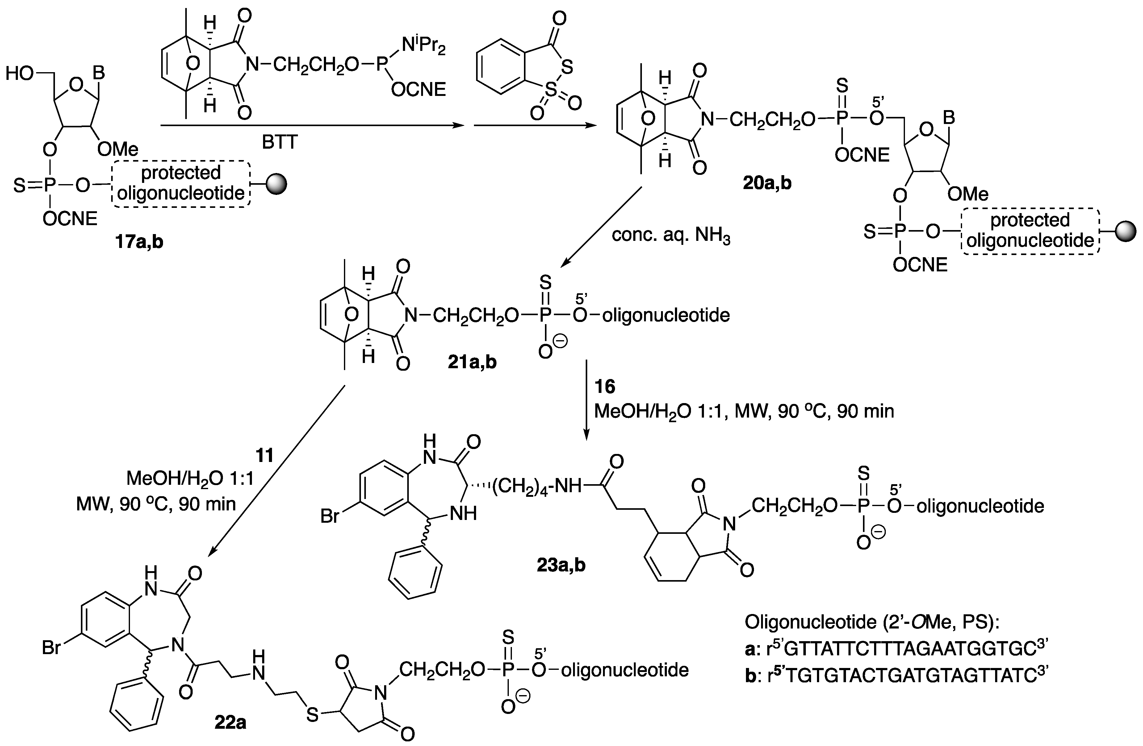Molecules 24 00579 sch005